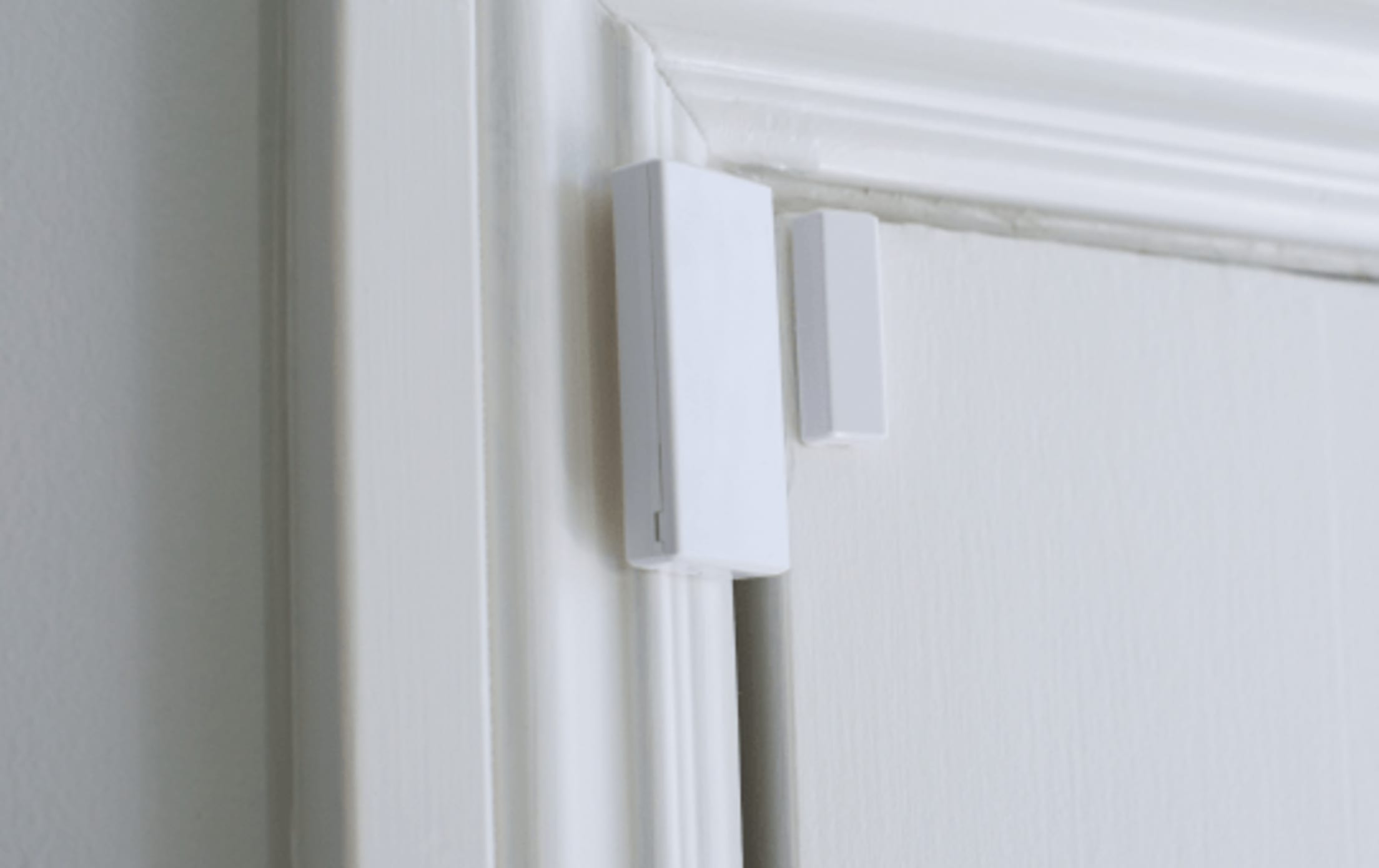 The contact (larger piece) on the door frame and the magnet (smaller piece) on the door itself