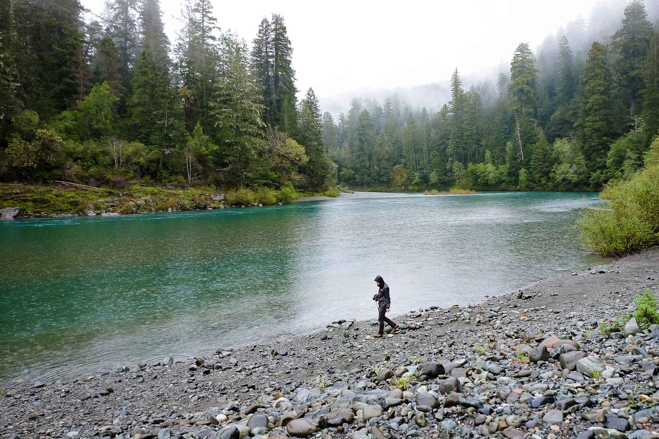 Exploring the river in the rain in Jedediah Smith State Park in California