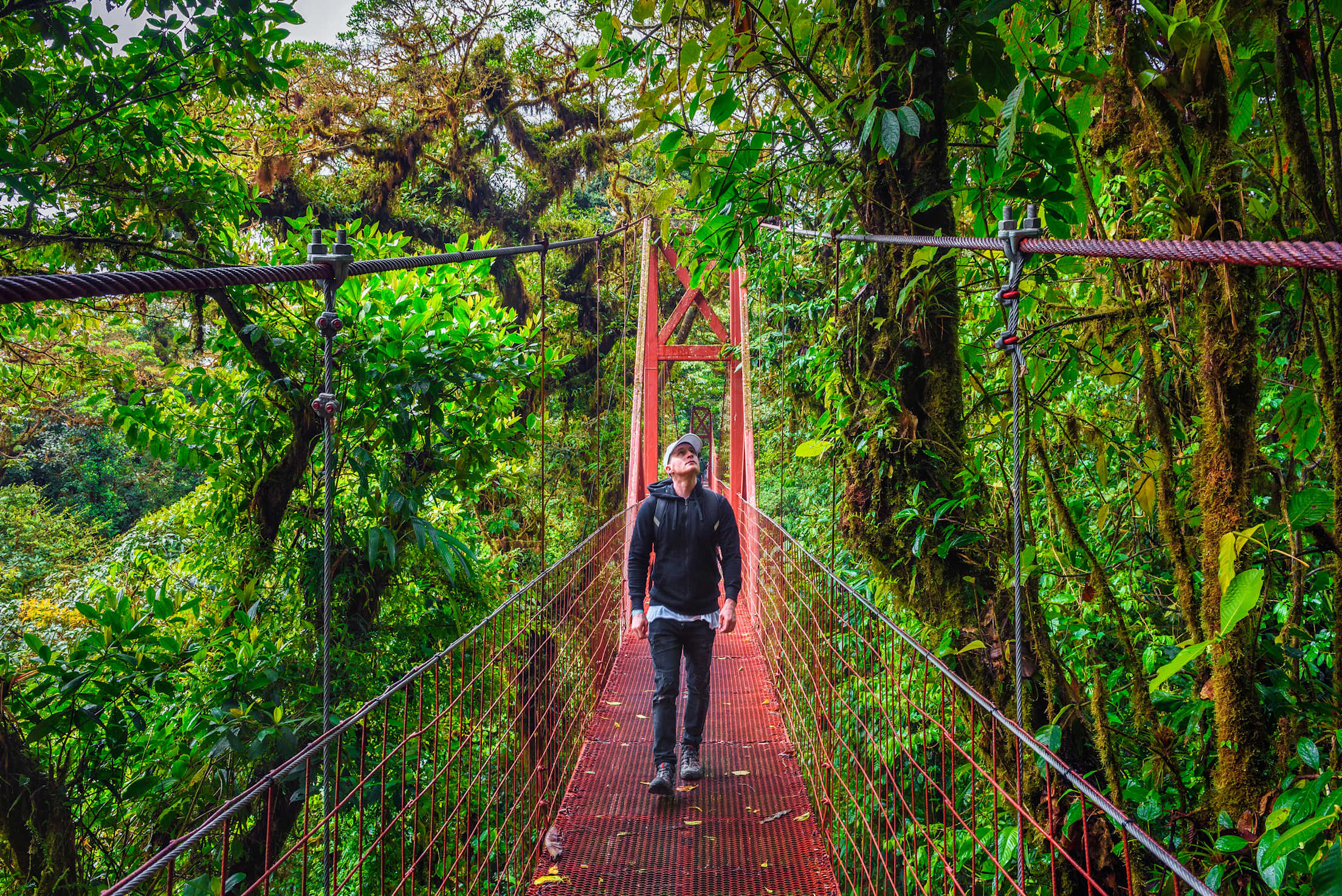 Tourist walking on a suspension bridge in Monteverde Cloud Forest, Costa Rica