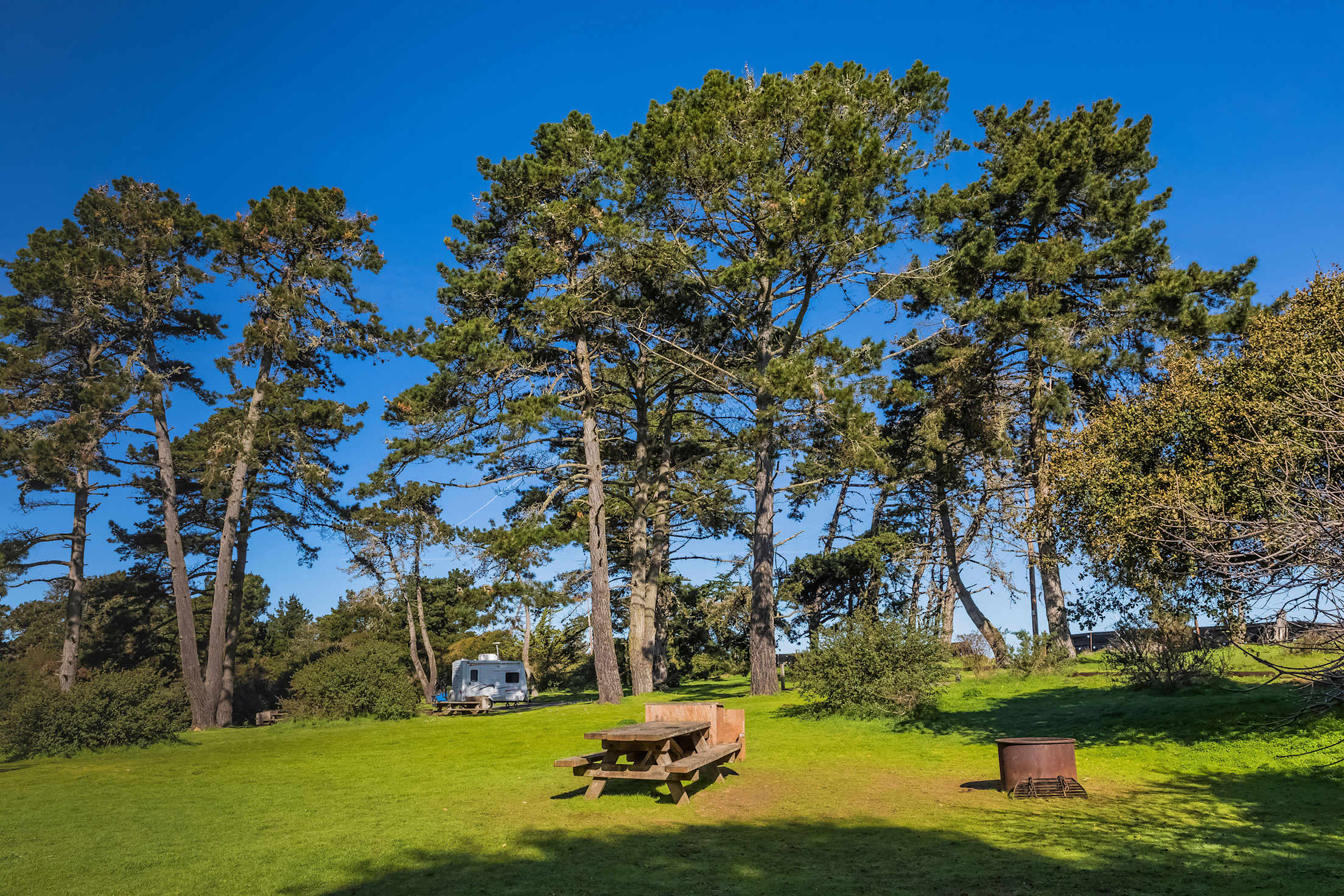 Picnic table and fire ring at a campsite in Sunset State Beach Campground in Santa Cruz County, California.