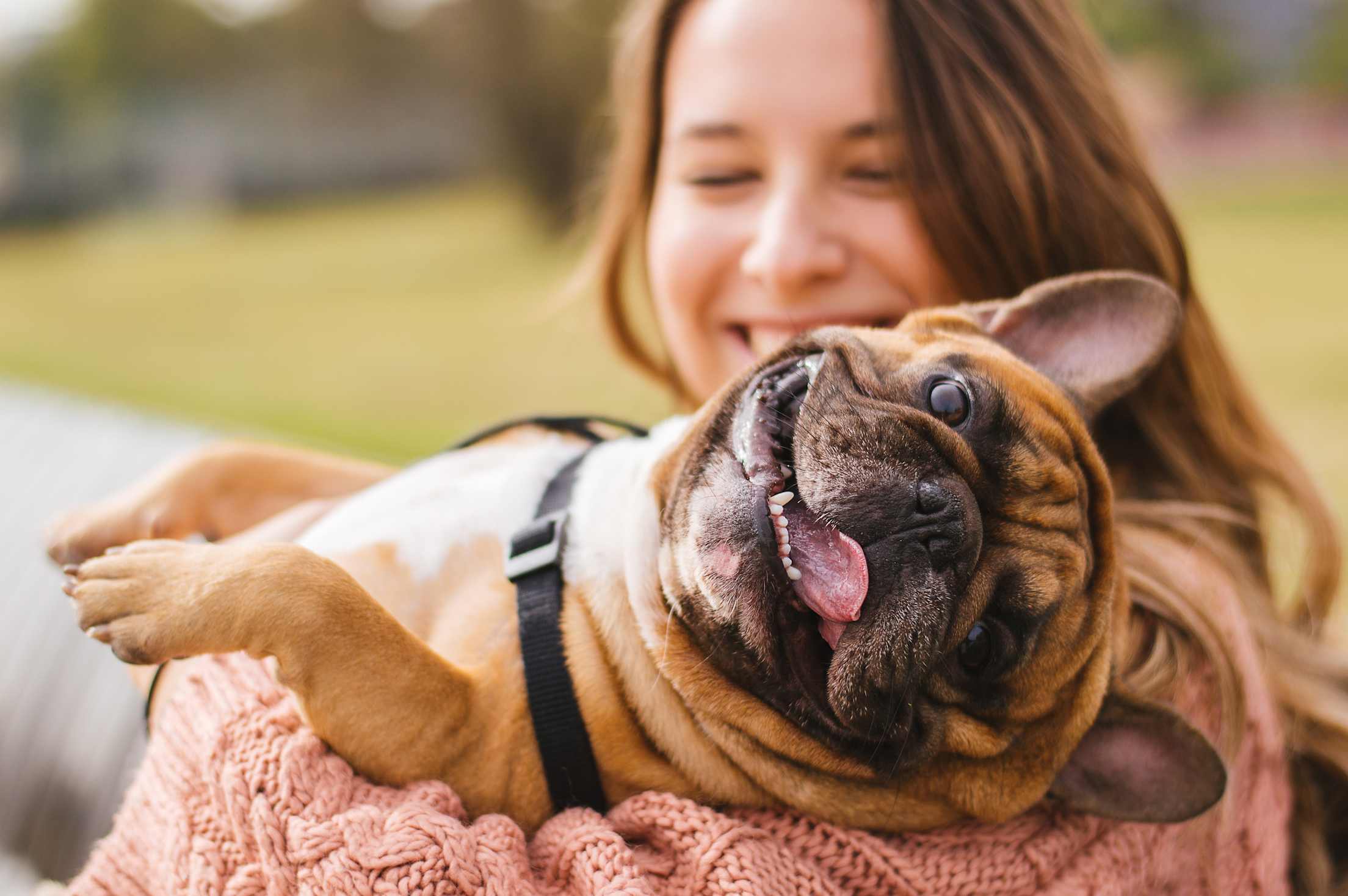 A woman holds a brown French bulldog in her arms.