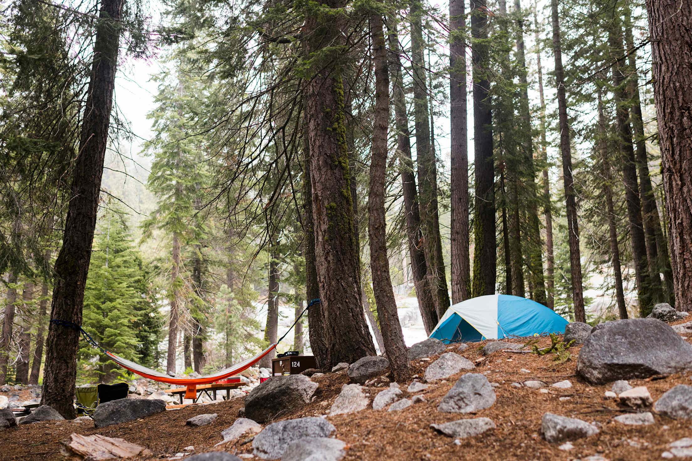 A tent and a hammock set up at a campsite in Kings Canyon National Park.
