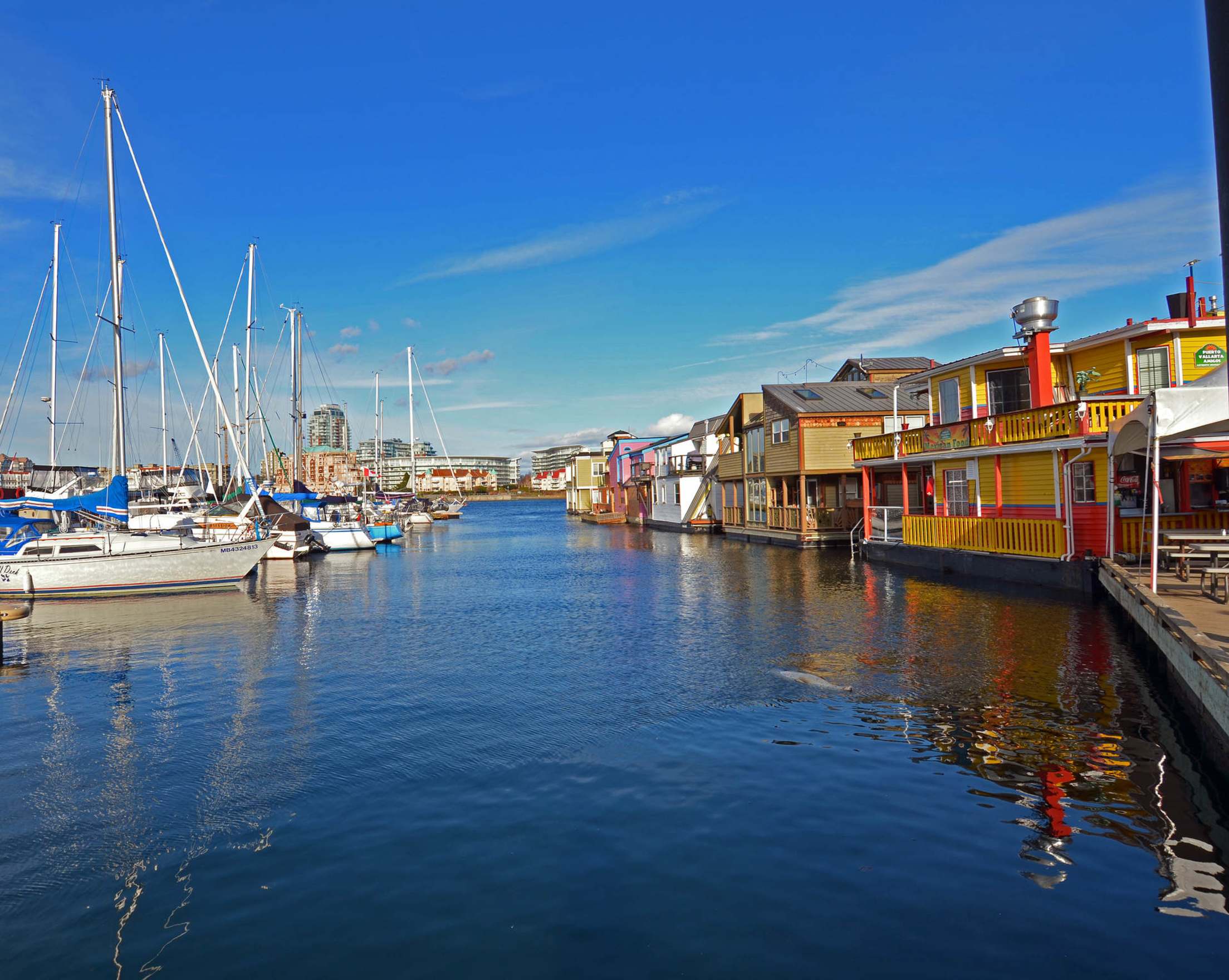 picture of the colorful dock, marina, and water as seen from the Fisherman's Wharf Floating B&B in Victoria, B.C.