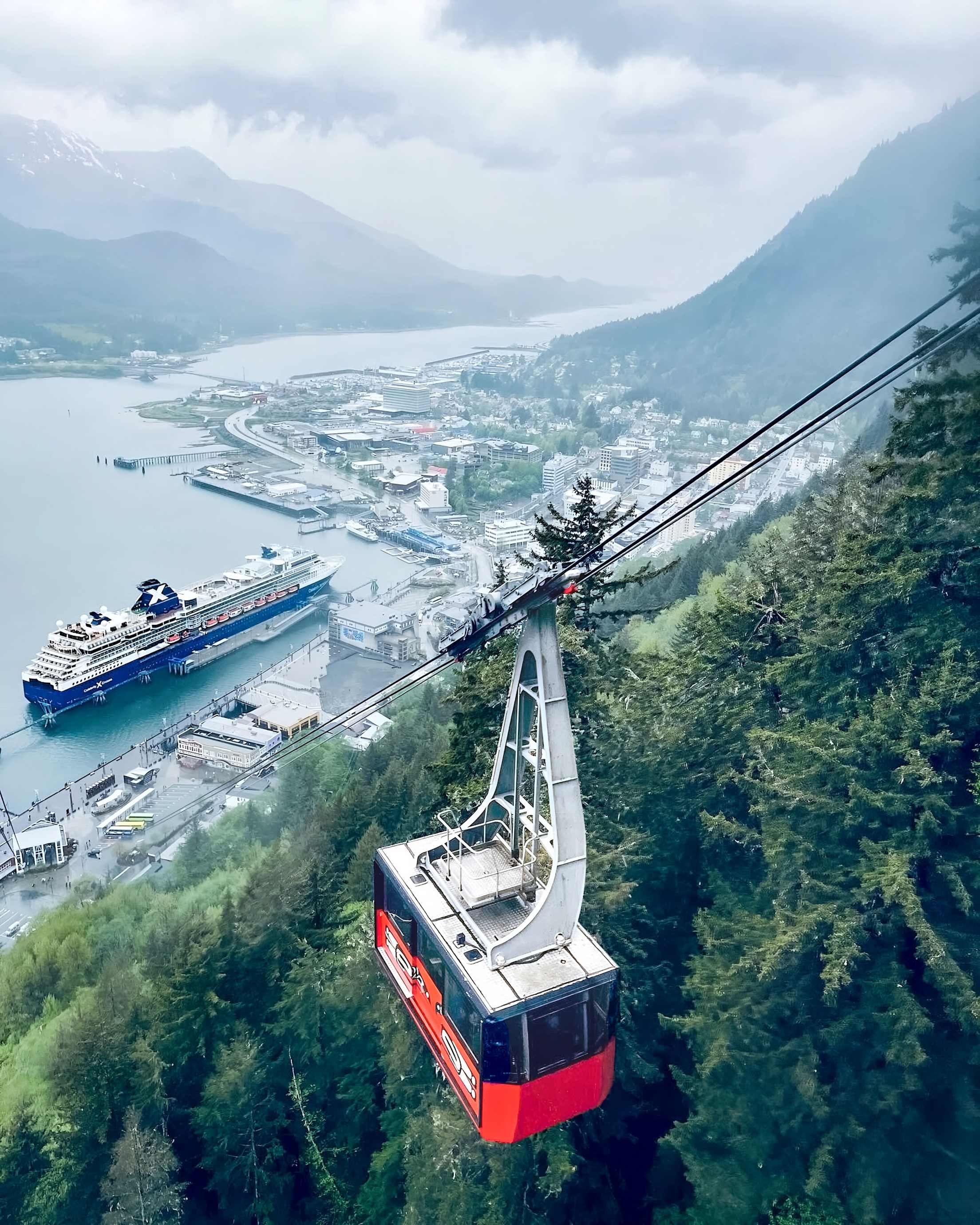 A gondola travels up a tree-lined peak with a cruise ship below.