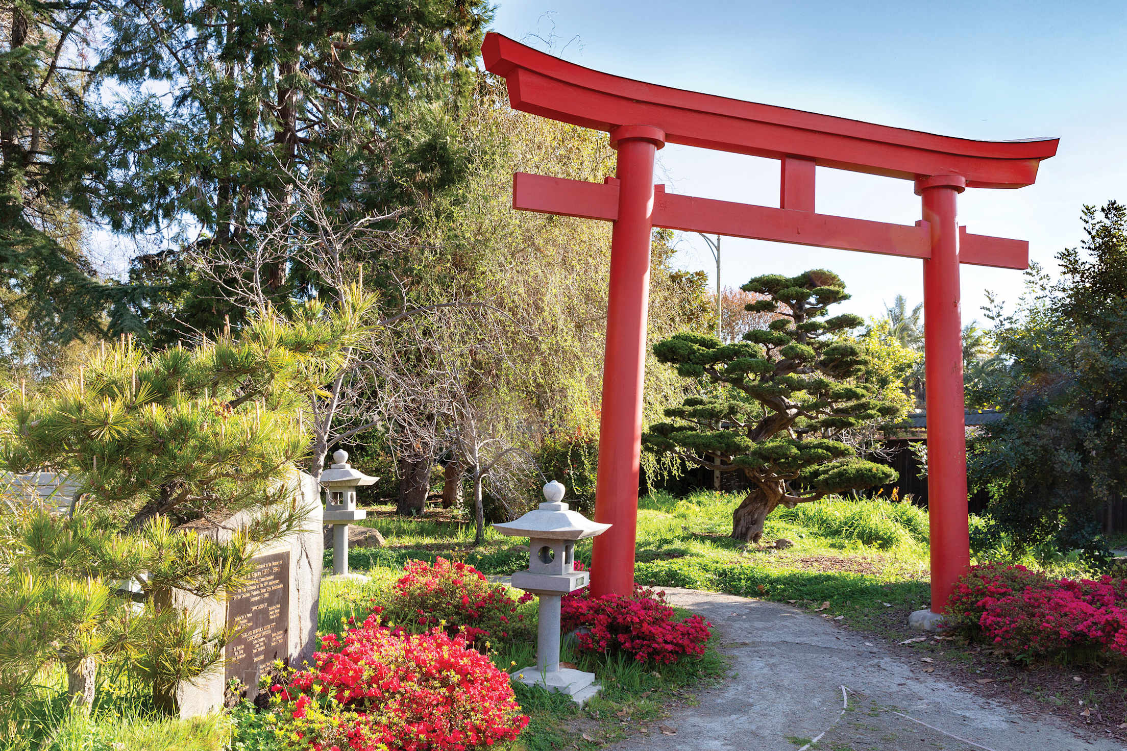 a Japanese-style garden with a red archway