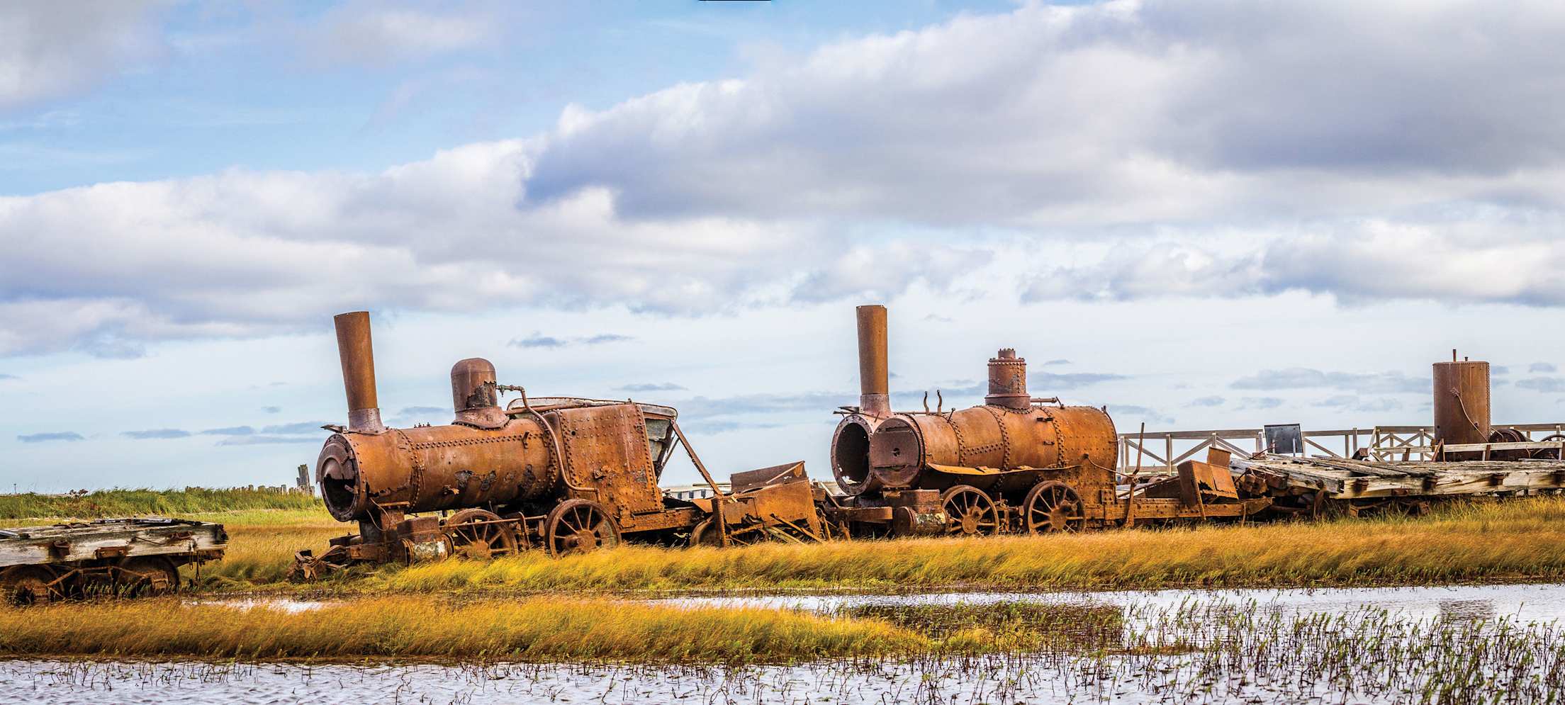 abandoned, rusted trains sit in a rural area with a picturesque blue sky