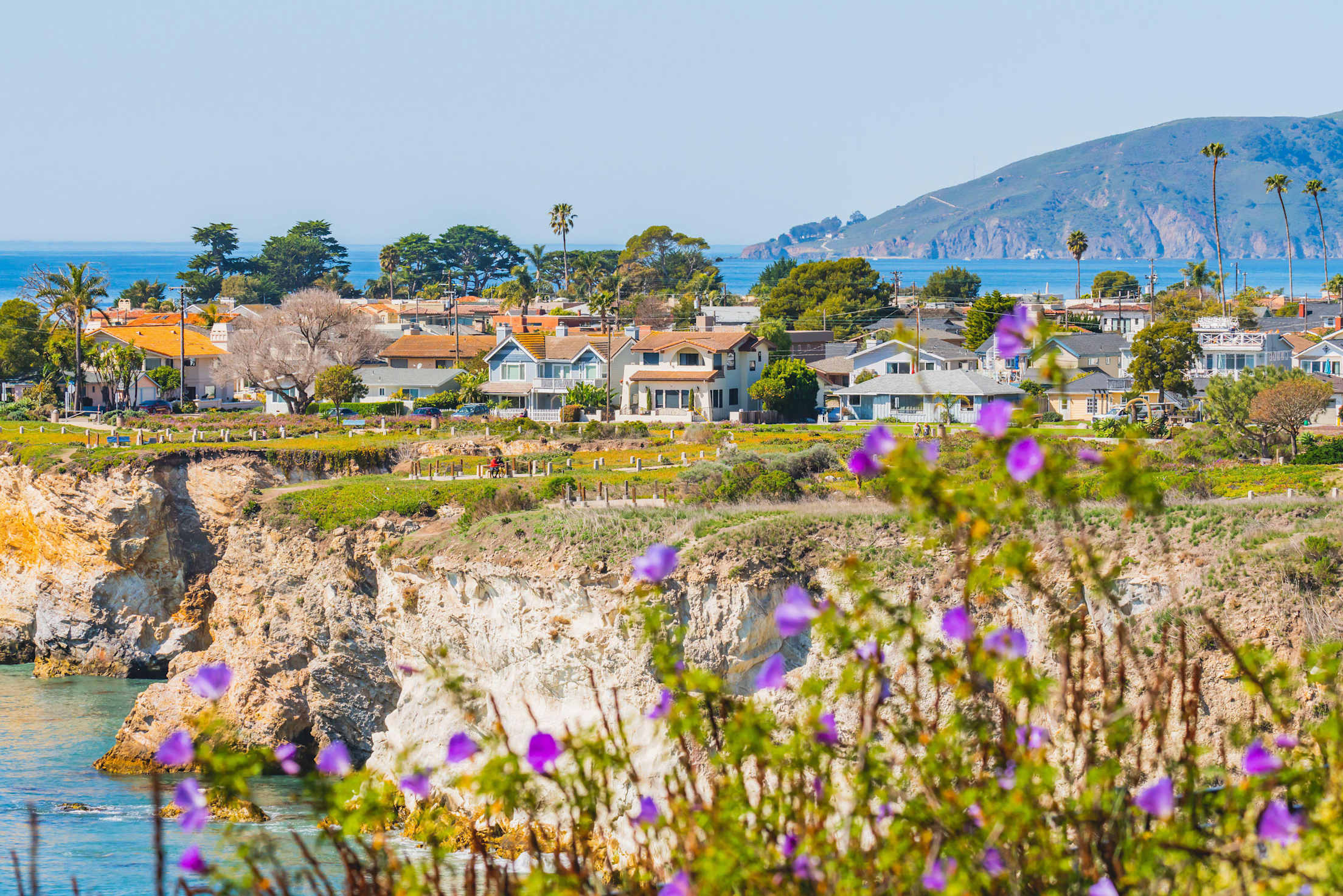 a view of purple flowers along coastside cliffs with palm trees and red-roofed houses