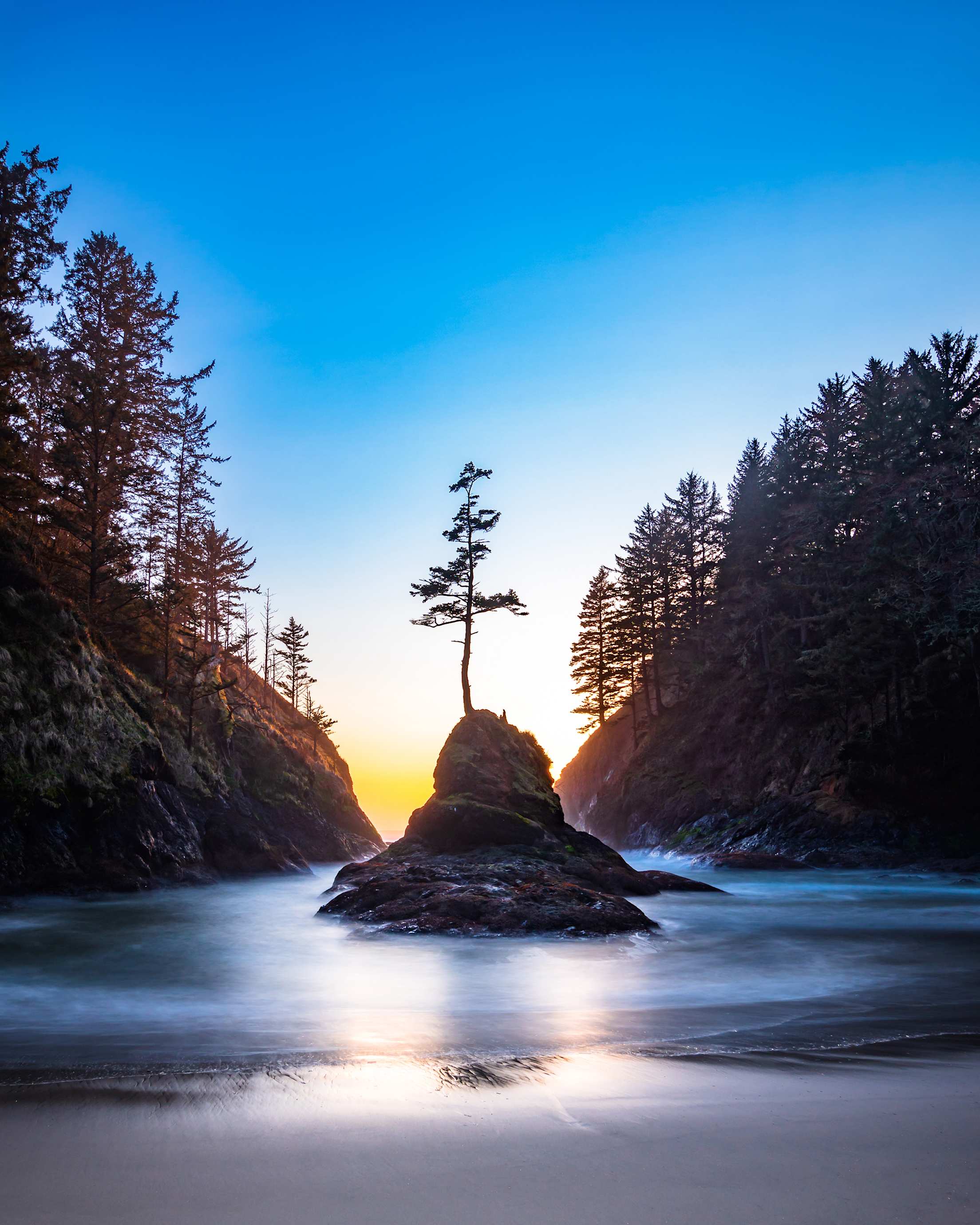 a tree grows out of a tiny island in a mist-filled river at sunset