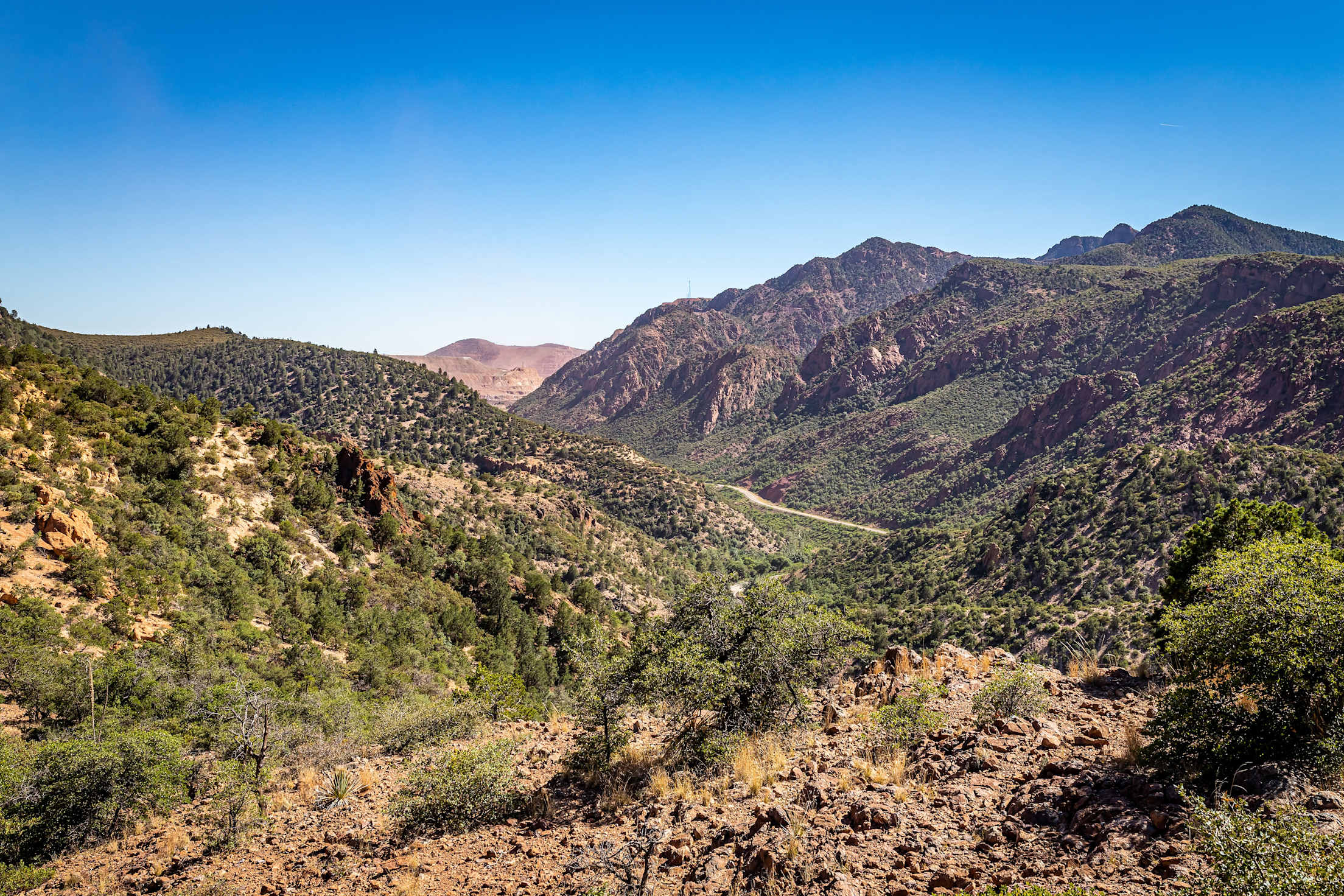 scenic mountains covered with trees and a blue sky