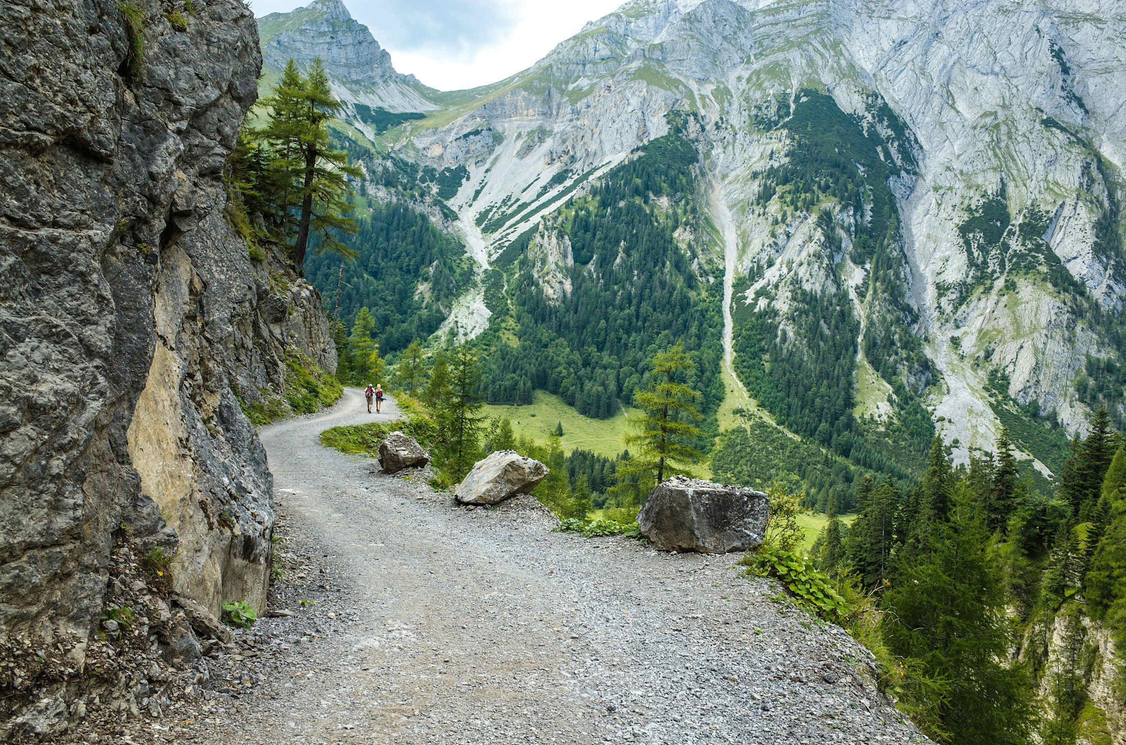 people hike on a cool-looking mountain trail with trees in Austria
