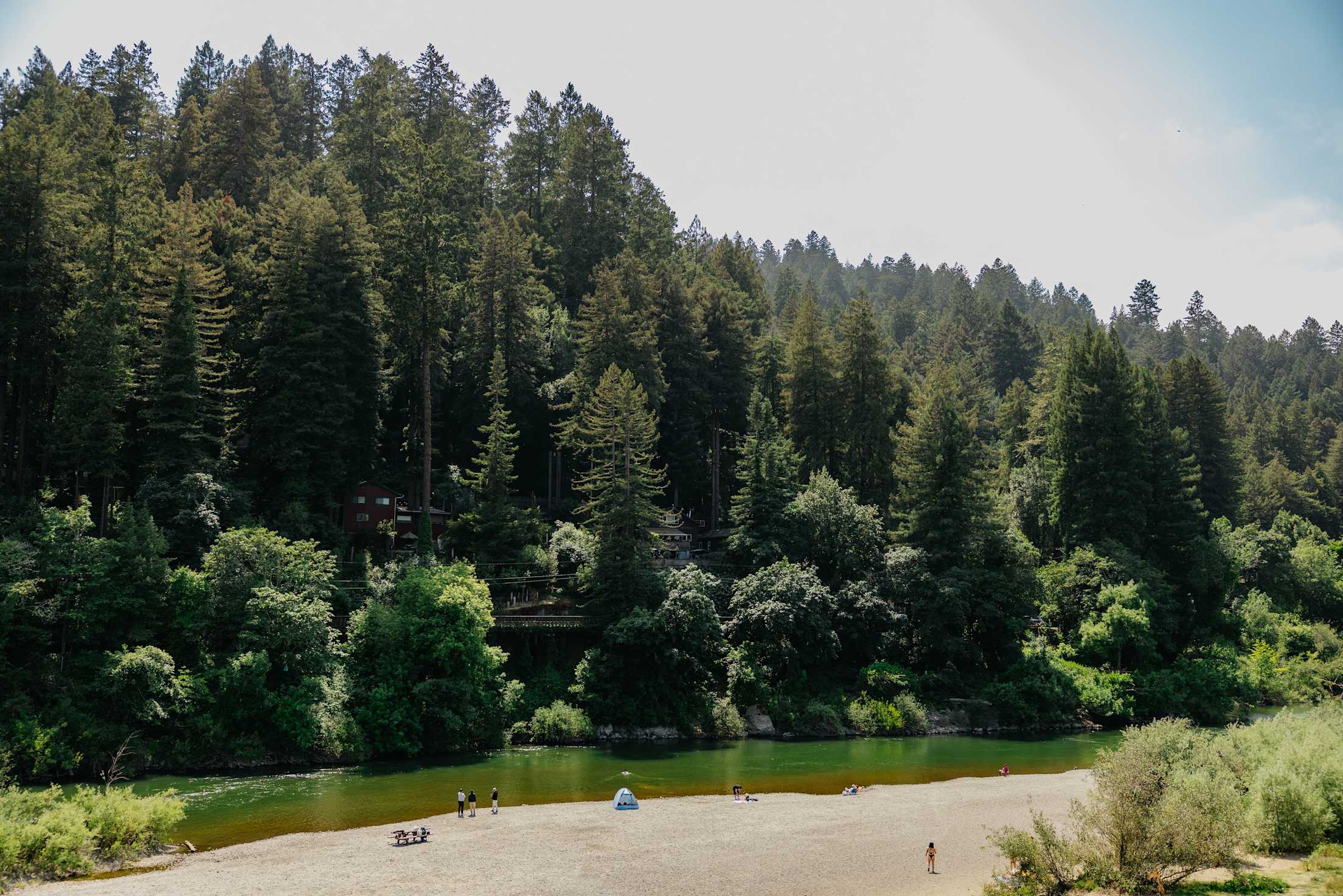 a small beach next to a river with tall green trees