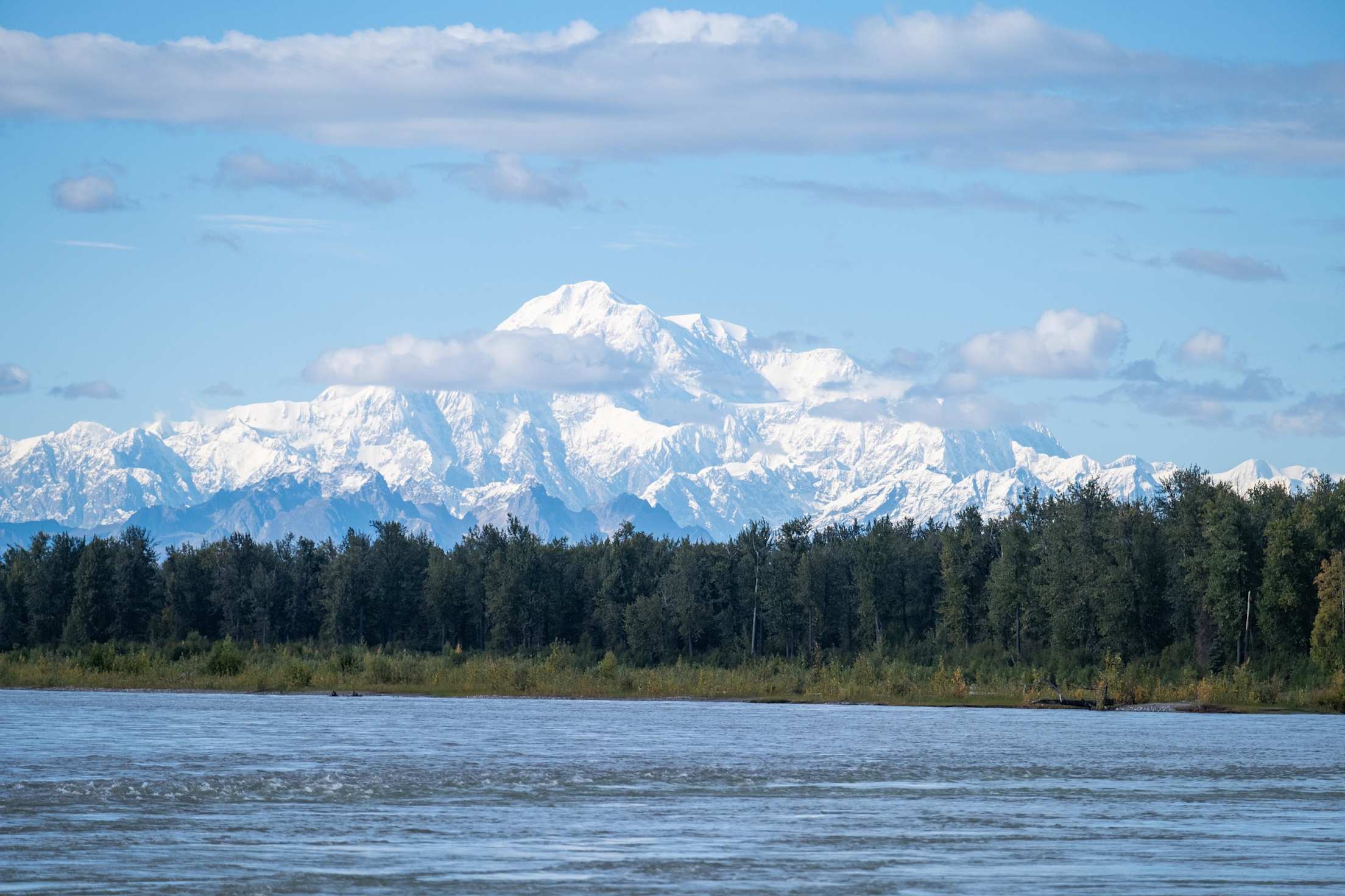 a view of snow-covered Mount Denali in Alaska, with trees and a lake in the foreground