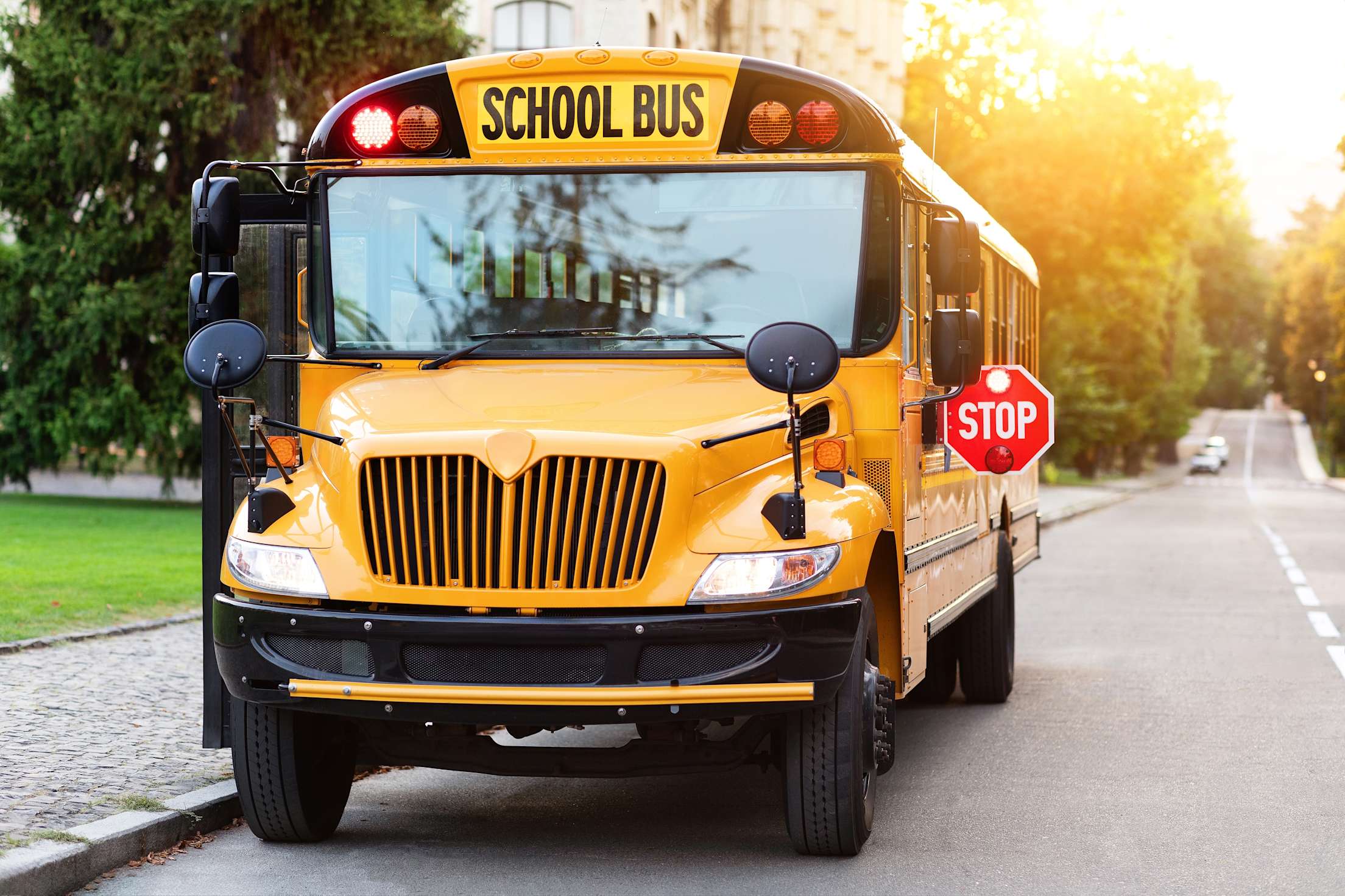 a school bus with a stop sign extended