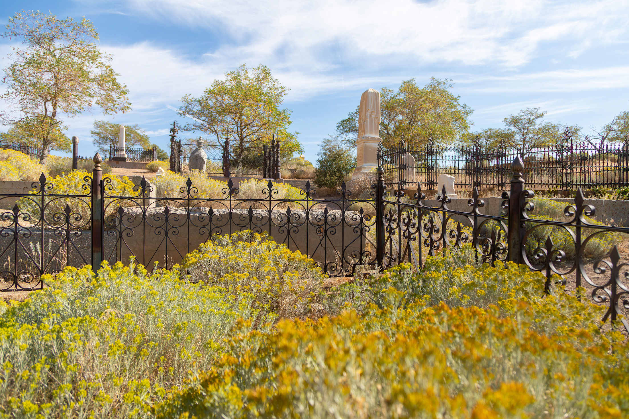 wildflowers and an iron fence surround a cemetery