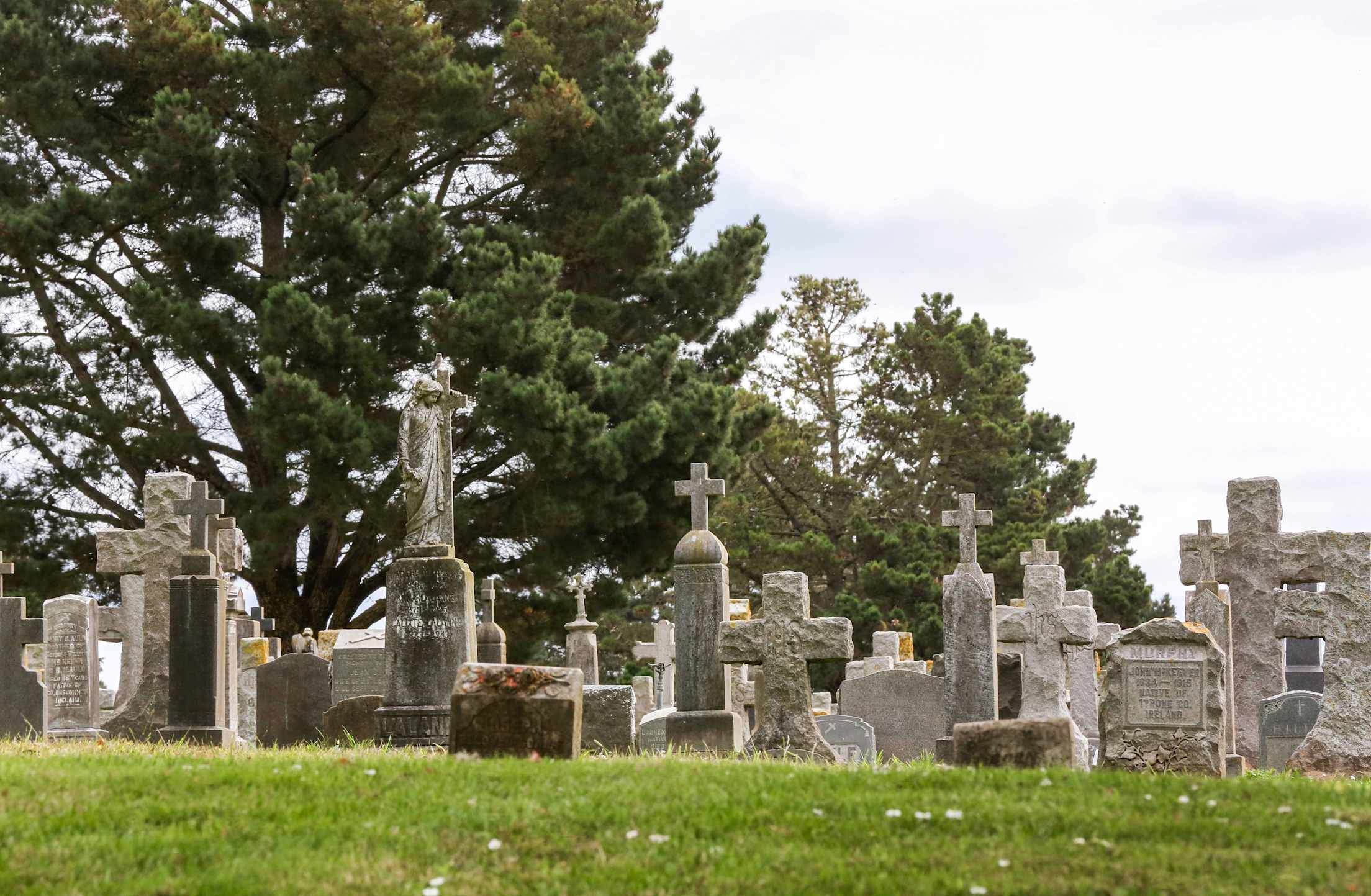 Crosses and headstones mark graves in the Cypress Lawn cemetery in Colma, California.