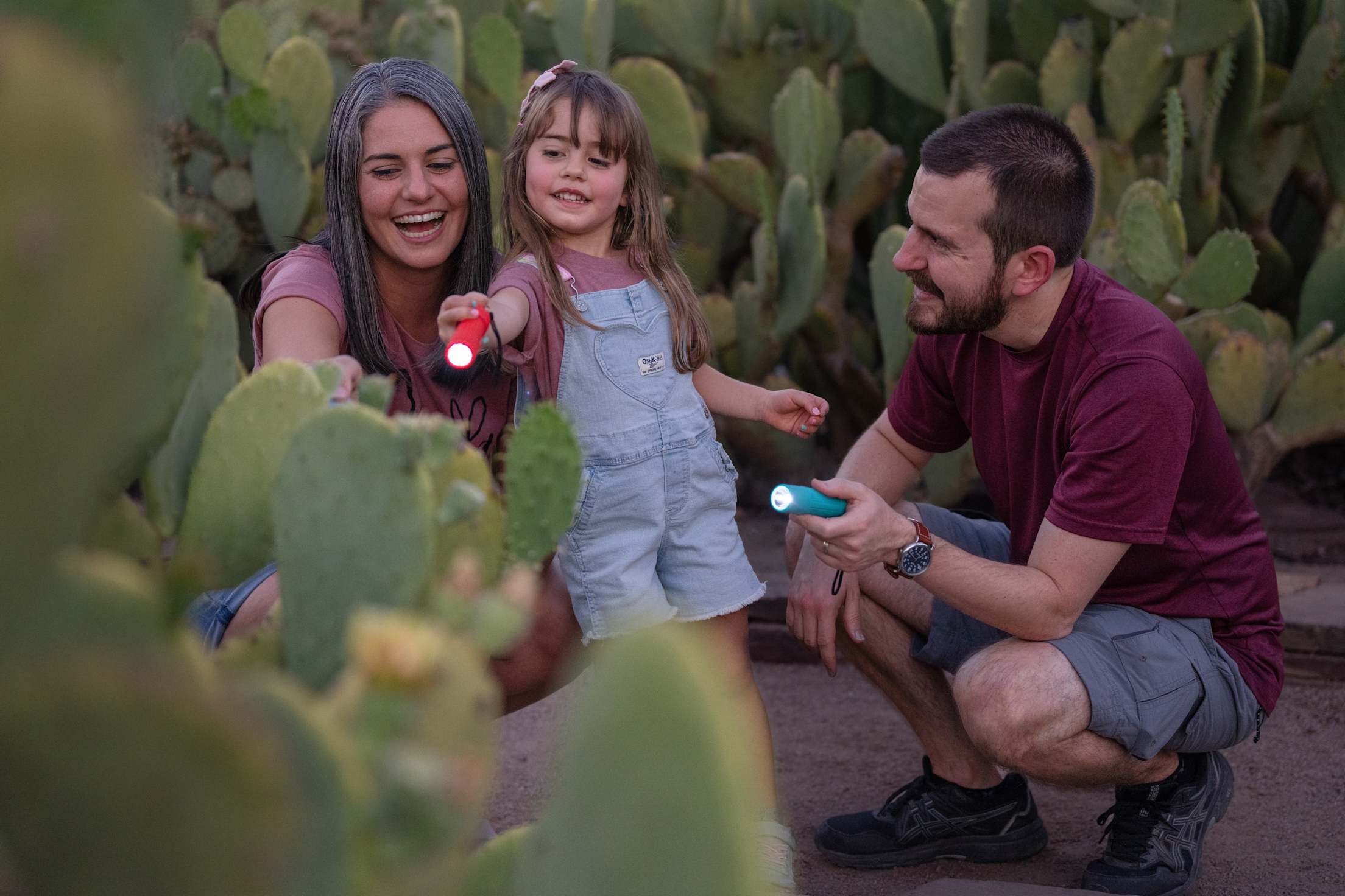 A family shines flashlights at cacti while smiling