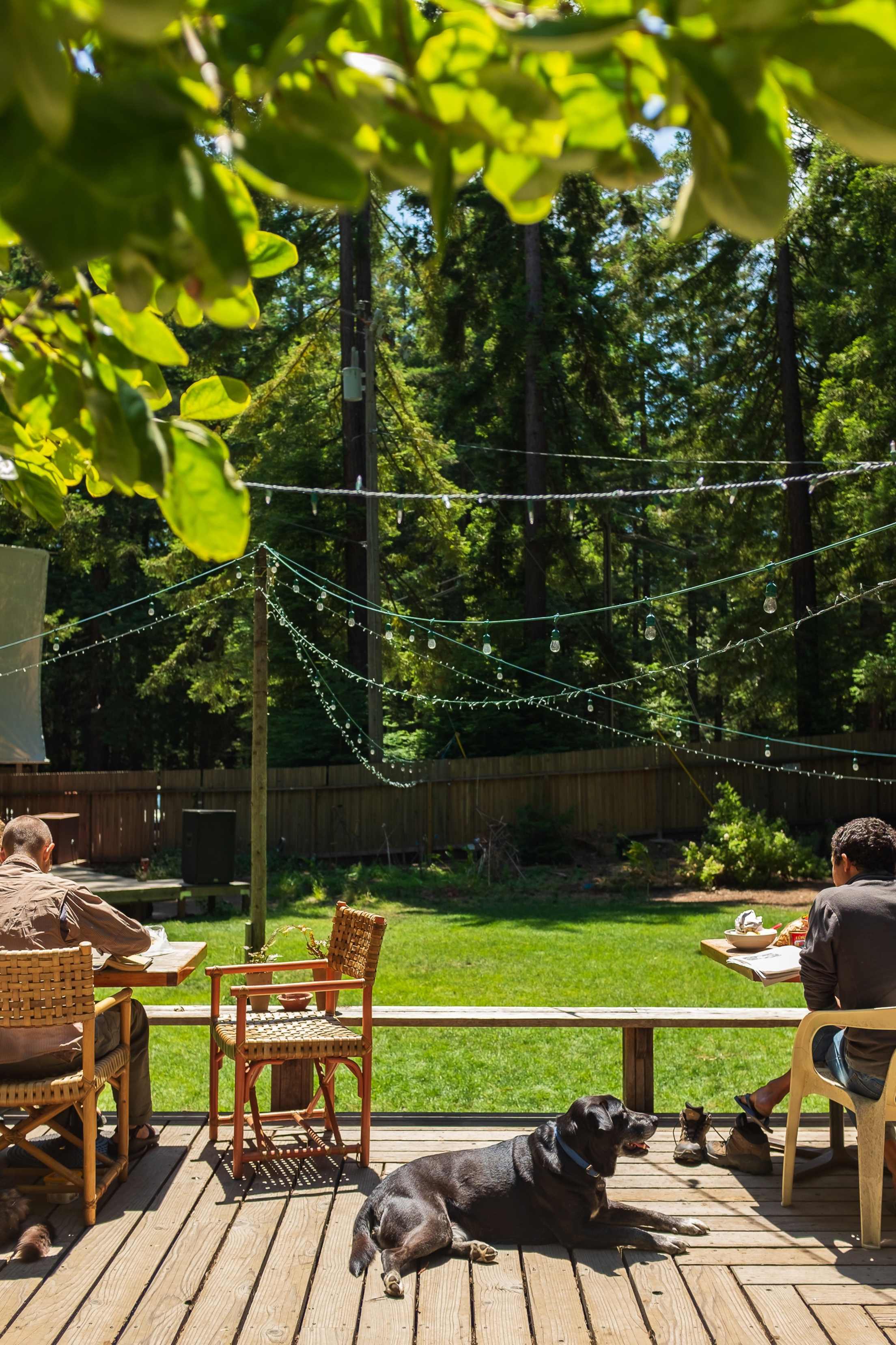 A black lab enjoys the sunshine on the Henry Miller Memorial Library terrace.