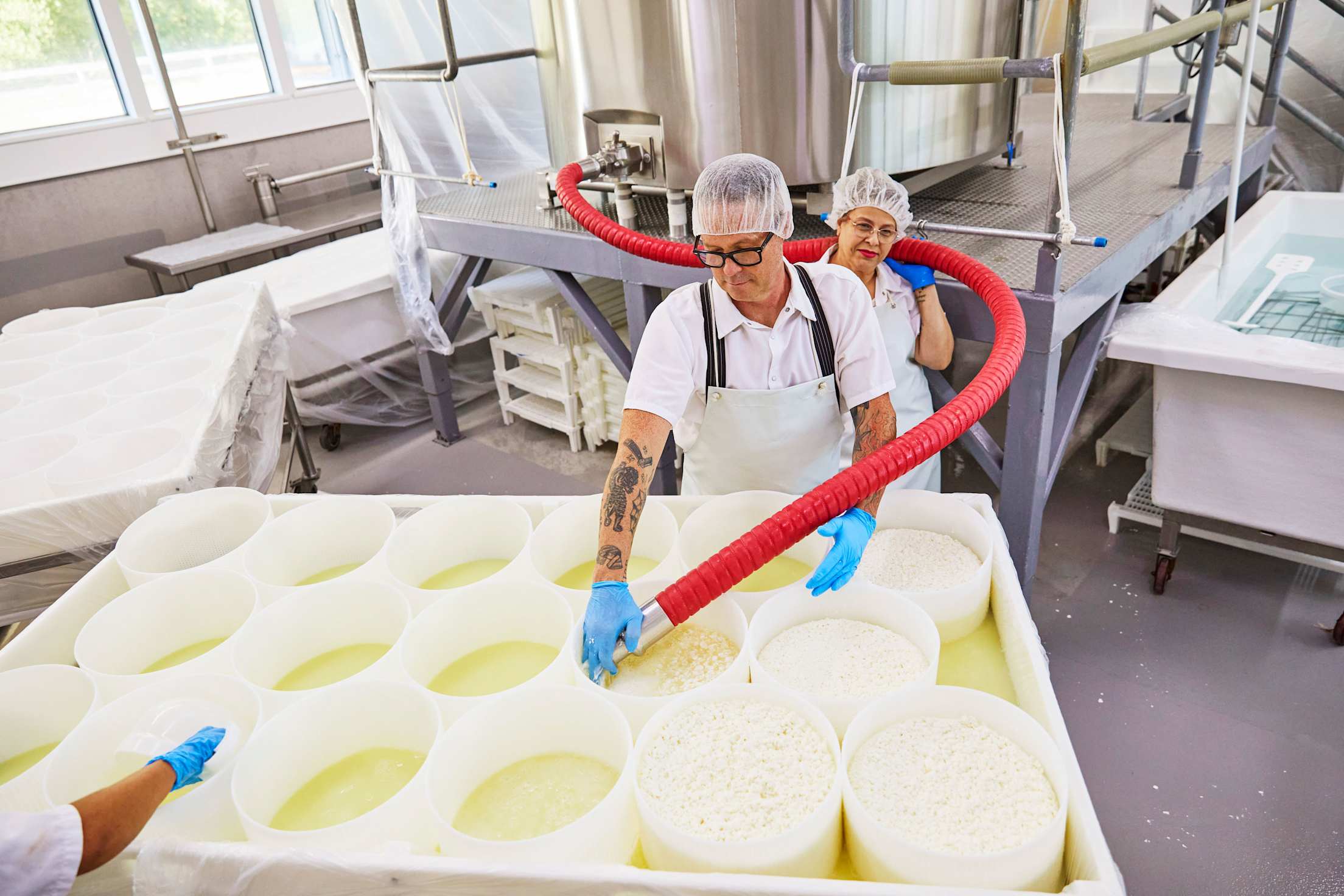 two people in aprons and hairnets make cheese by filling buckets with milk from a long red hose