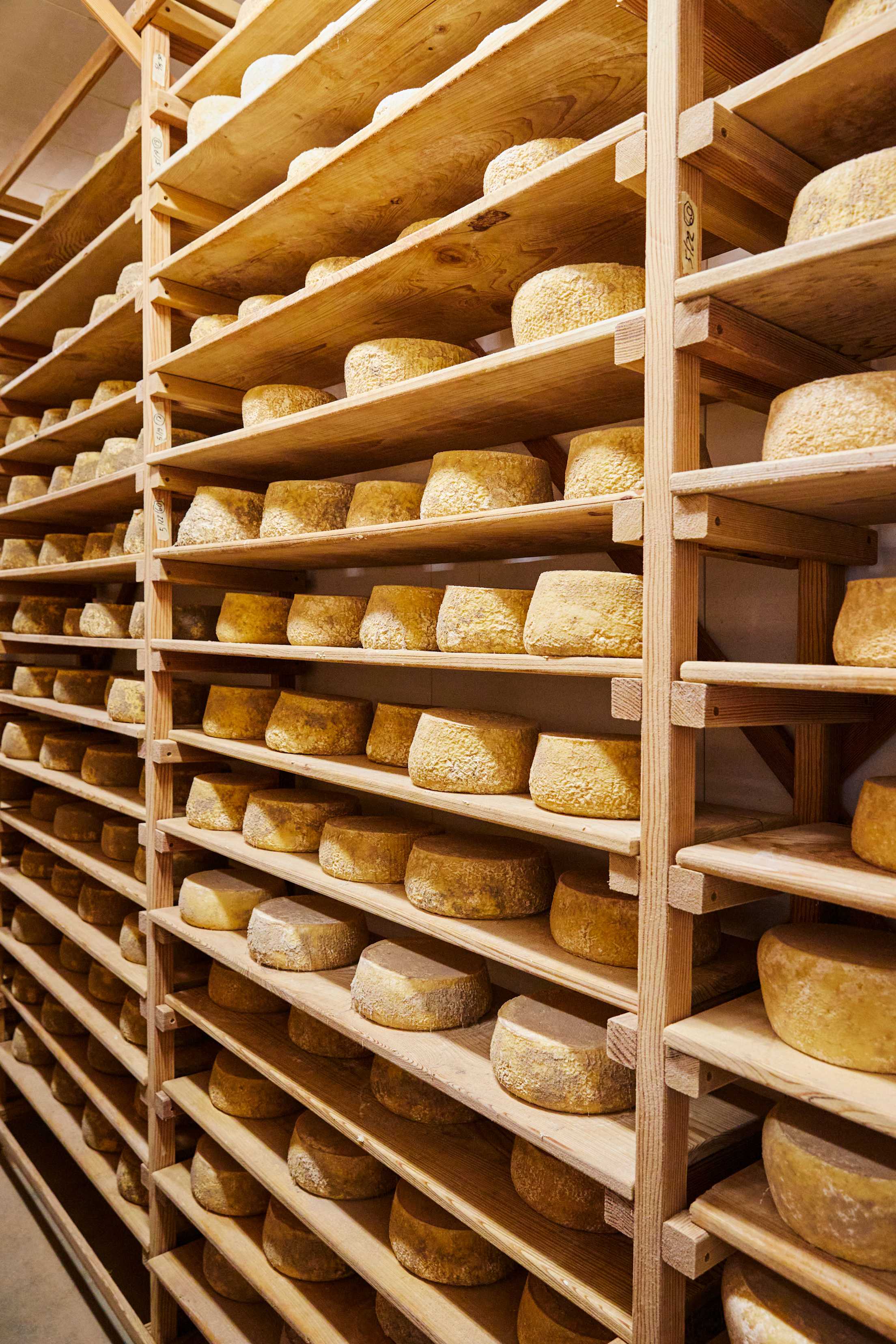 tall wooden shelves containing wheels of cheese