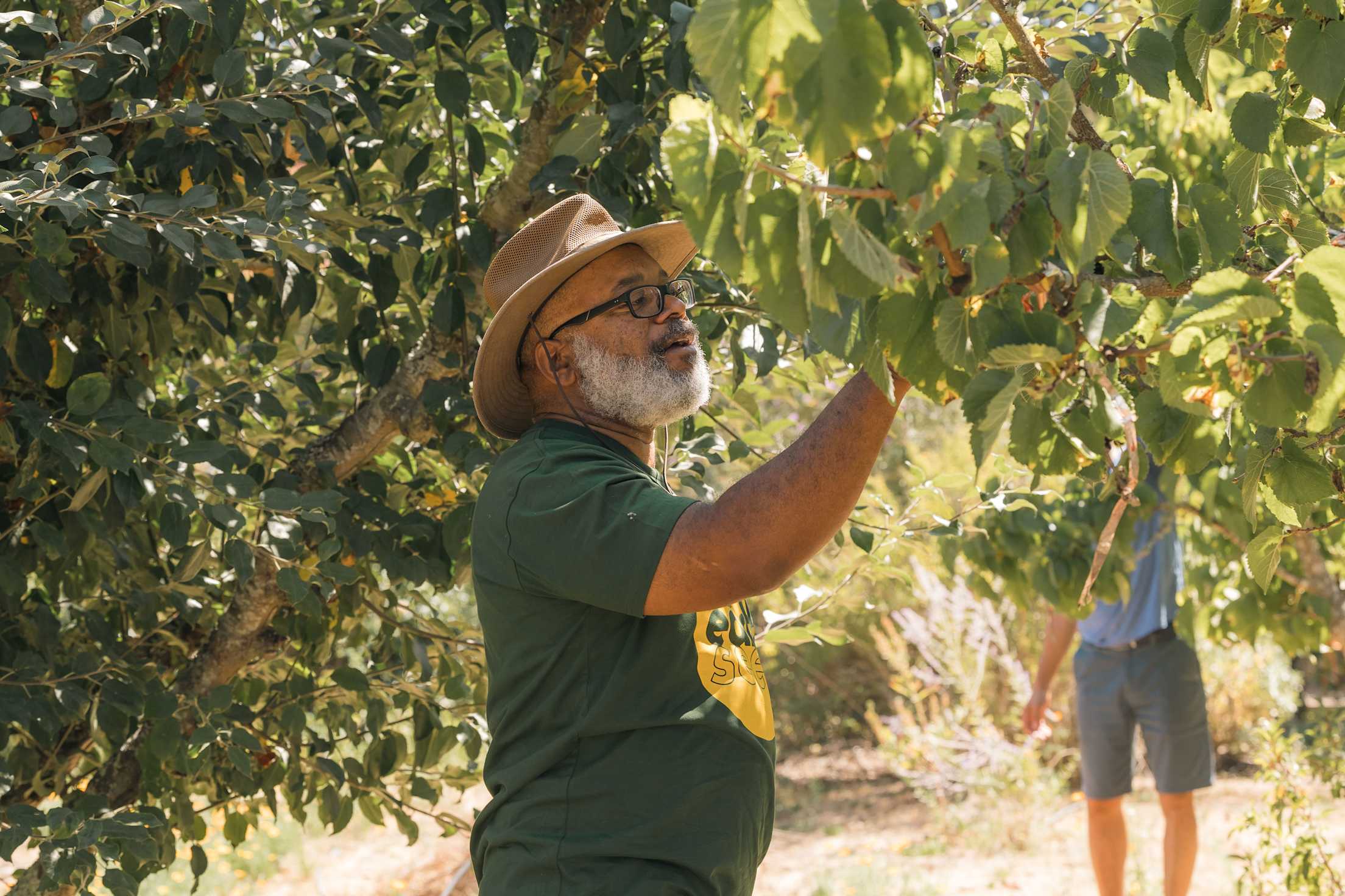 A person picks organic fruit at Earthseed Farm.