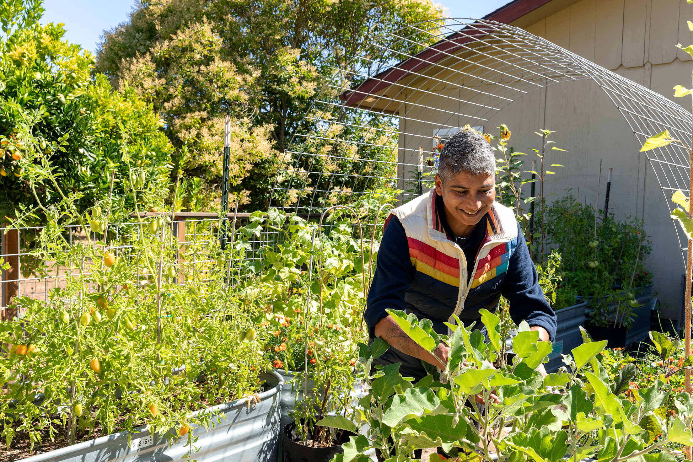 Chef Preeti Mistry in their backyard garden.
