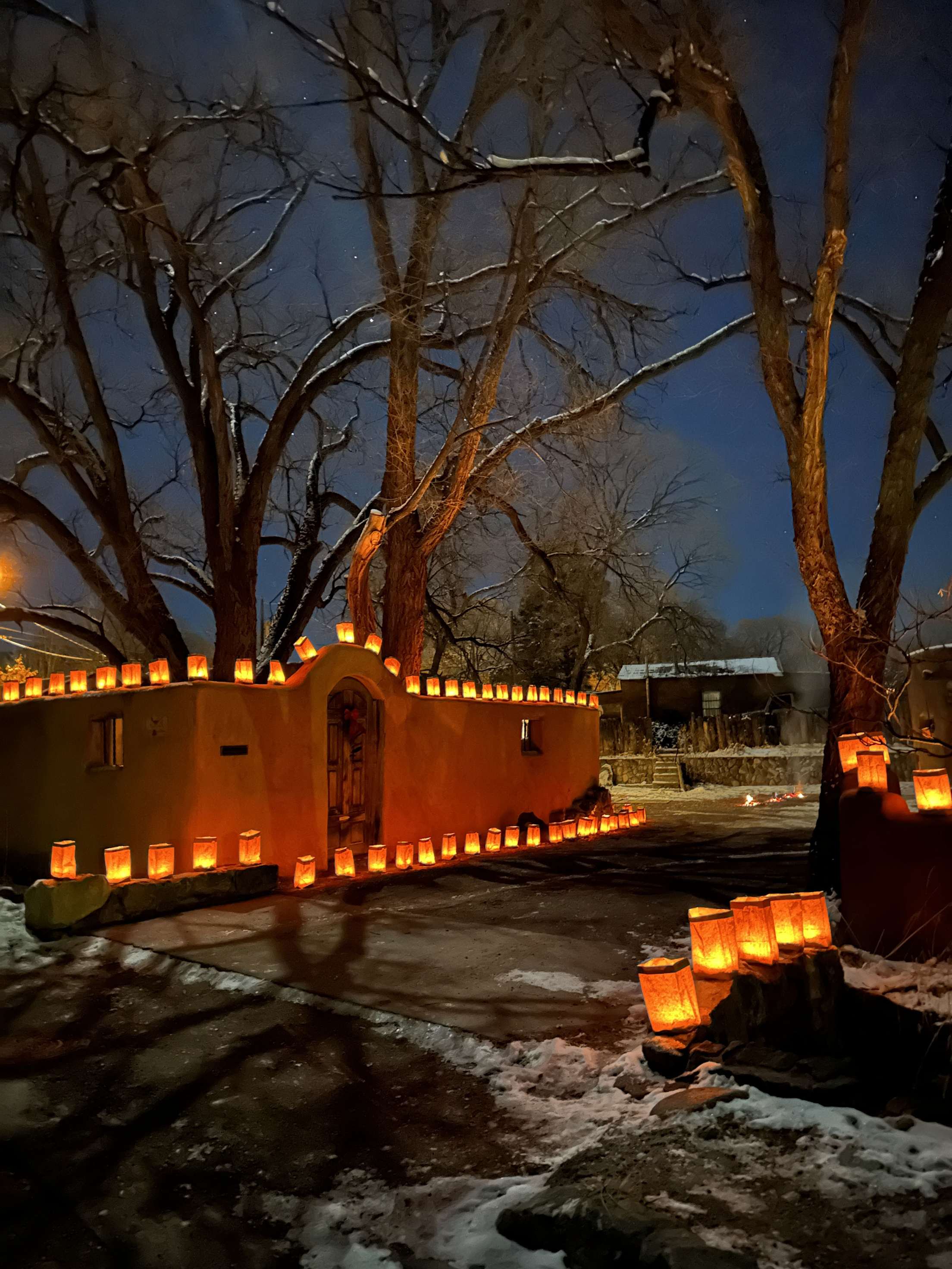luminaria on a holiday walk in front of trees