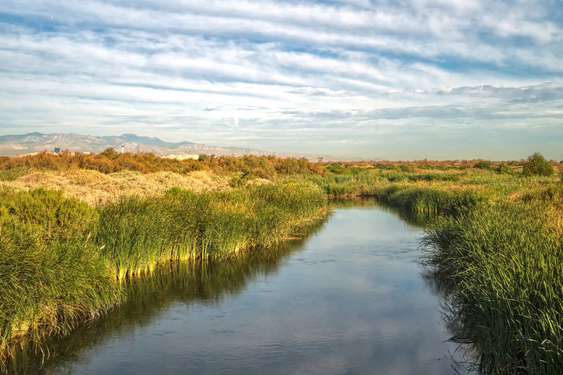 water cuts through grasslands just outside of Las Vegas in Clark County Wetlands Park