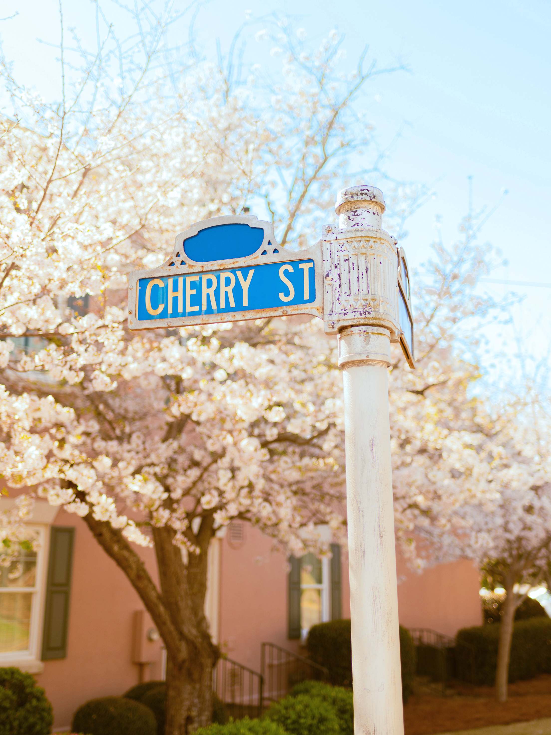 Cherry Street sign with cherry trees in bloom behind it in Macon, Georgia.