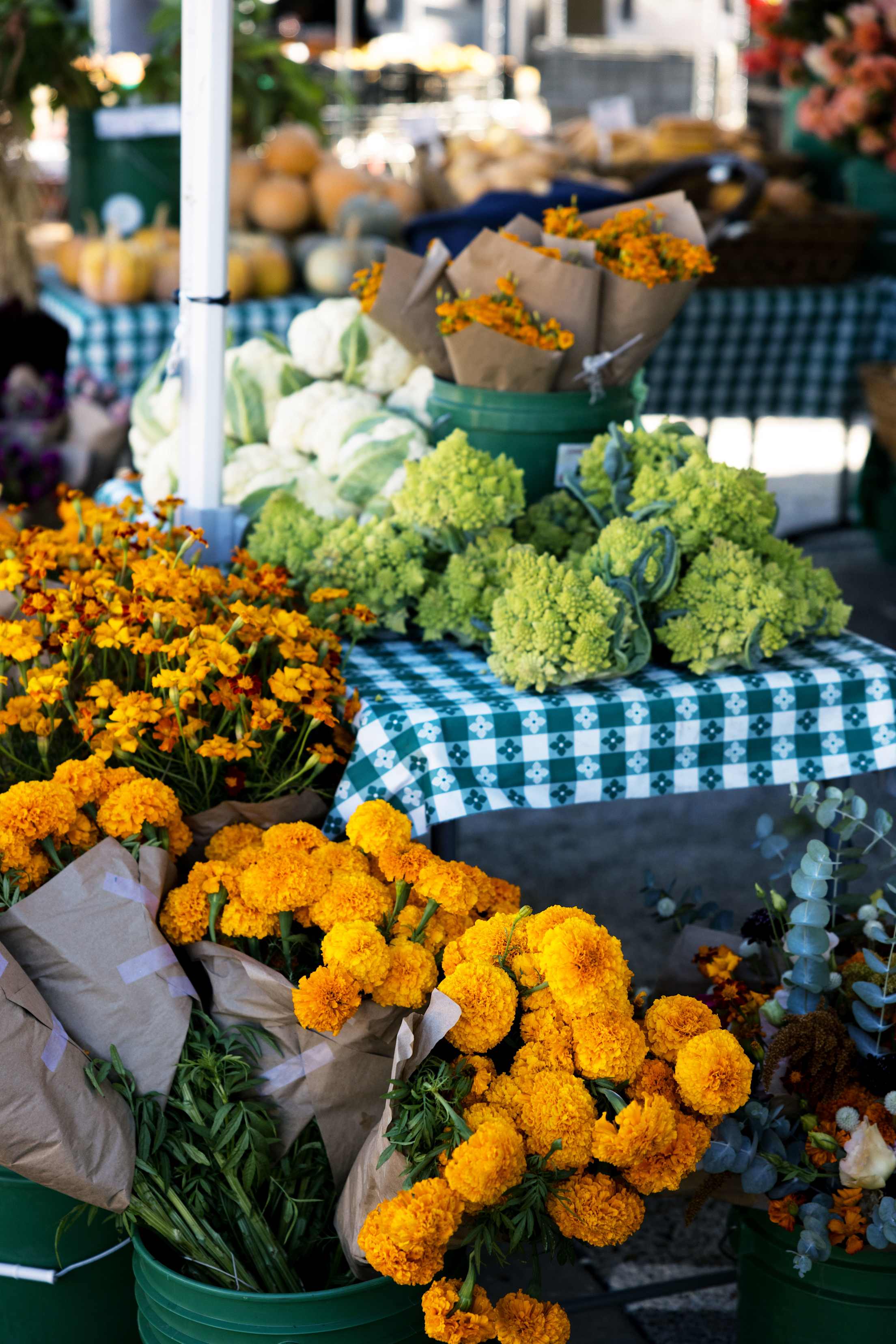 Fresh-cut flowers in a bucket at the Flowers at the Thursday Marin Farmers Market at the Marin County Civic Center in San Rafael, California.