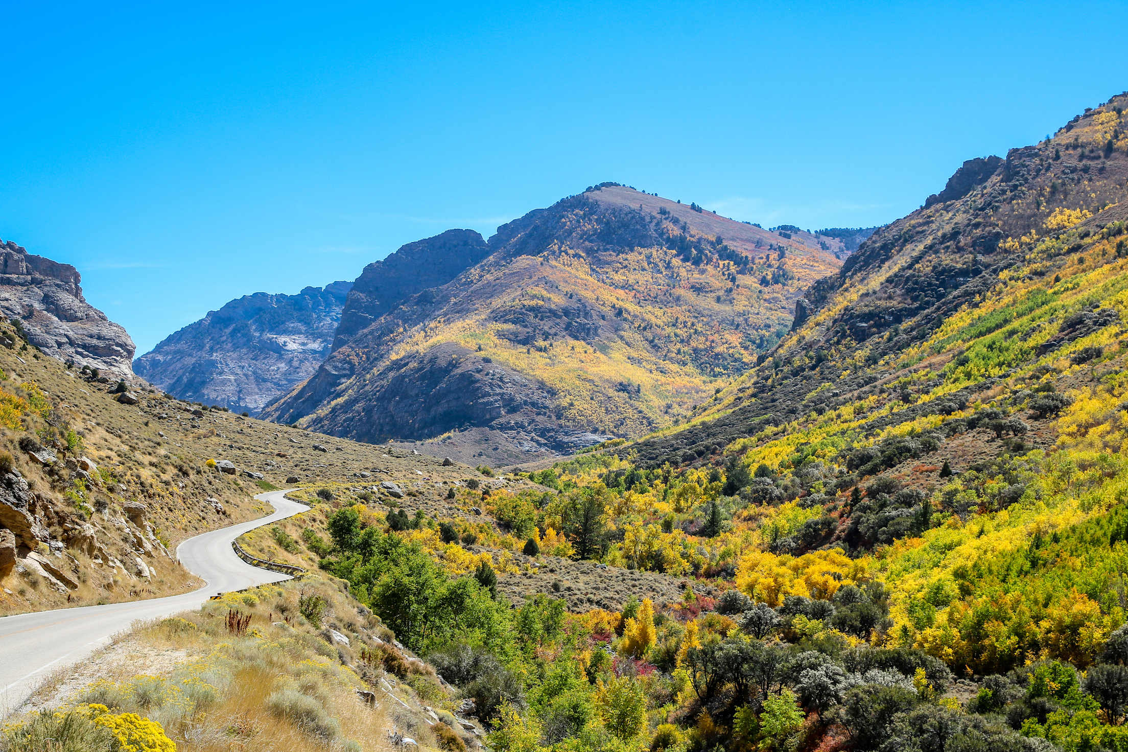 Autumn colors line Lamoille Canyon Road in Nevada.