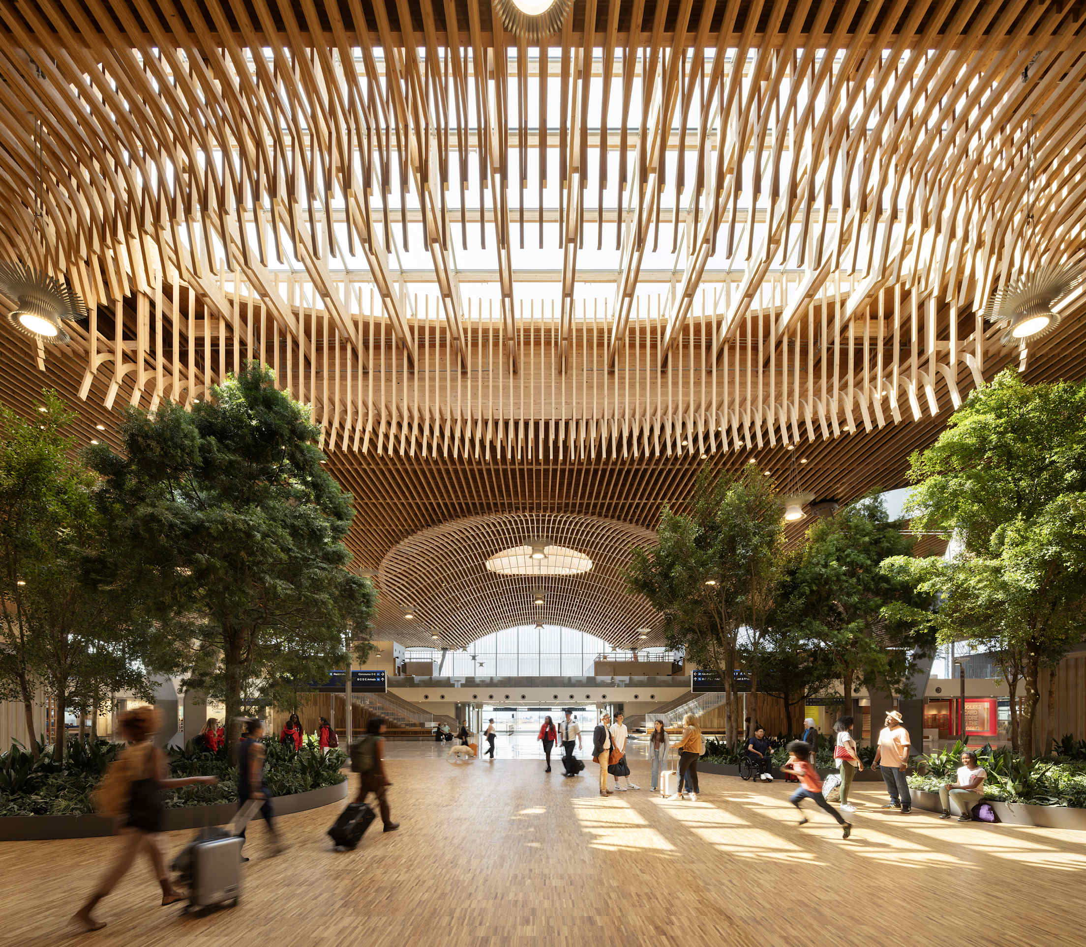 The PDX main terminal's new park-like space with trees and a timber roofs.