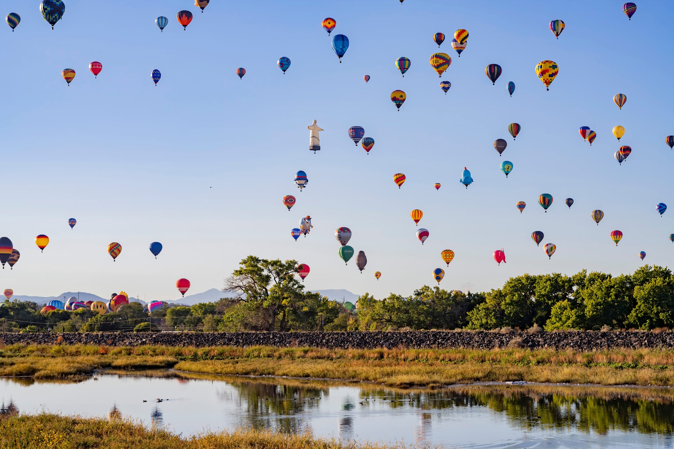 Balloons take off at the Albuquerque International Balloon Fiesta in New Mexico.