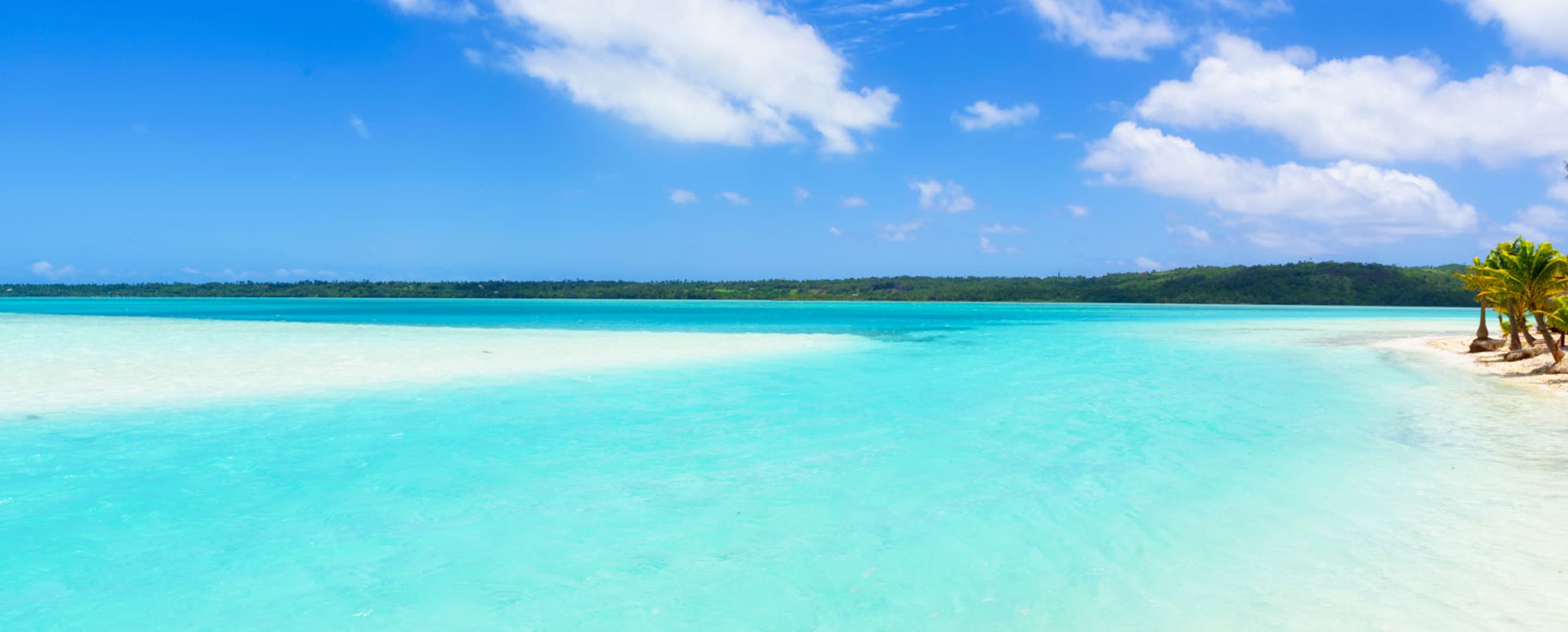 beach in the cook islands