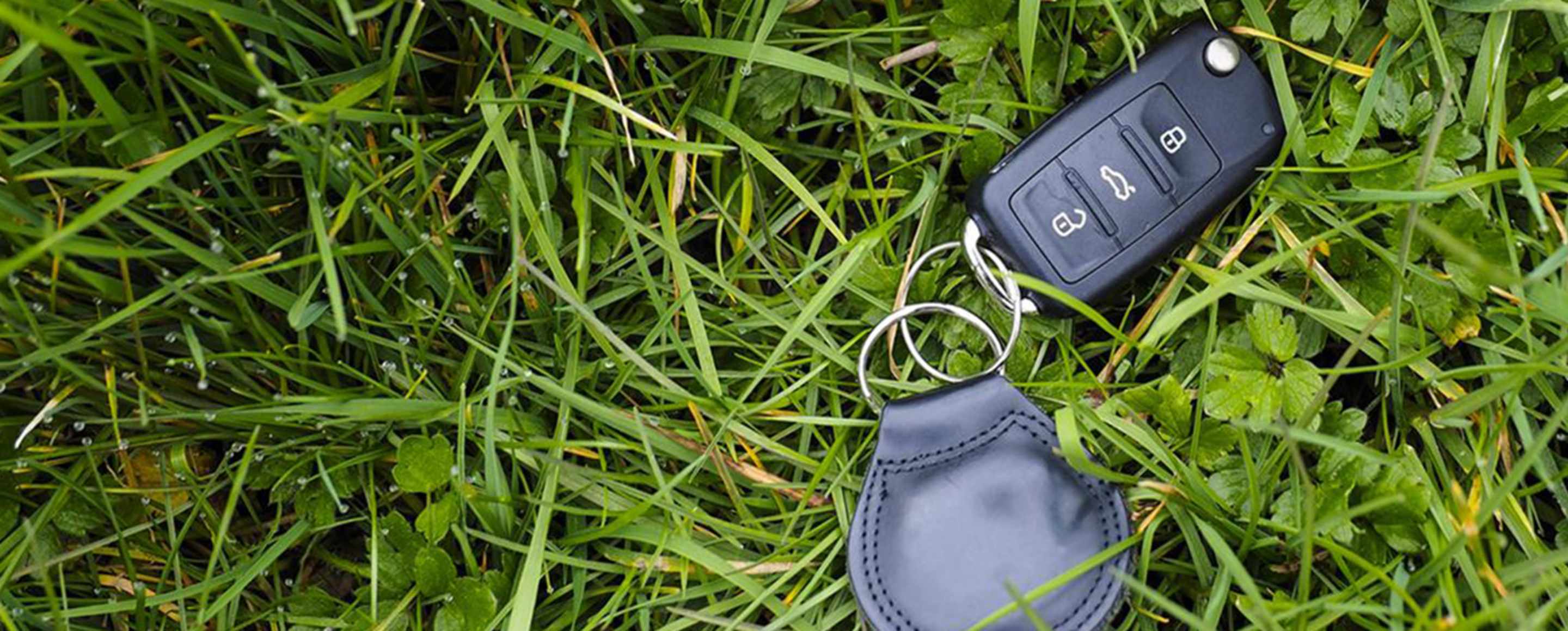 Keys sitting in the grass while a Member waits for AAA Car Locksmith Service
