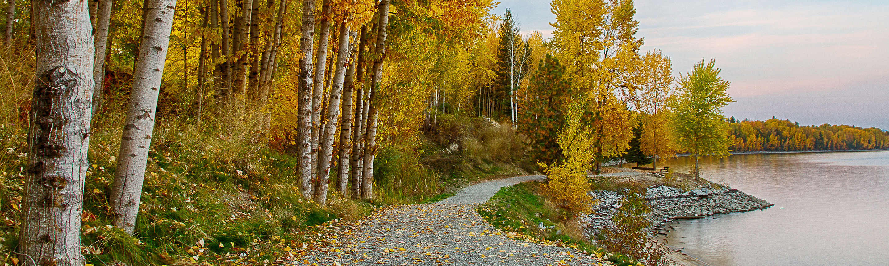 A lakeside hiking path surrounded by yellow aspens in Idaho.