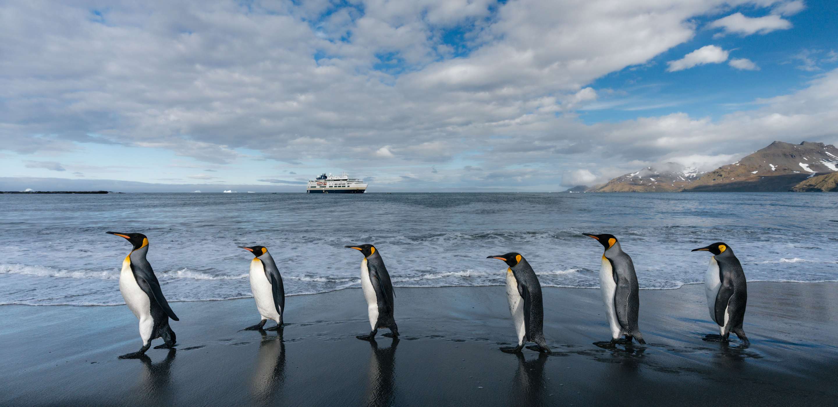 hx expedition ship and penguins