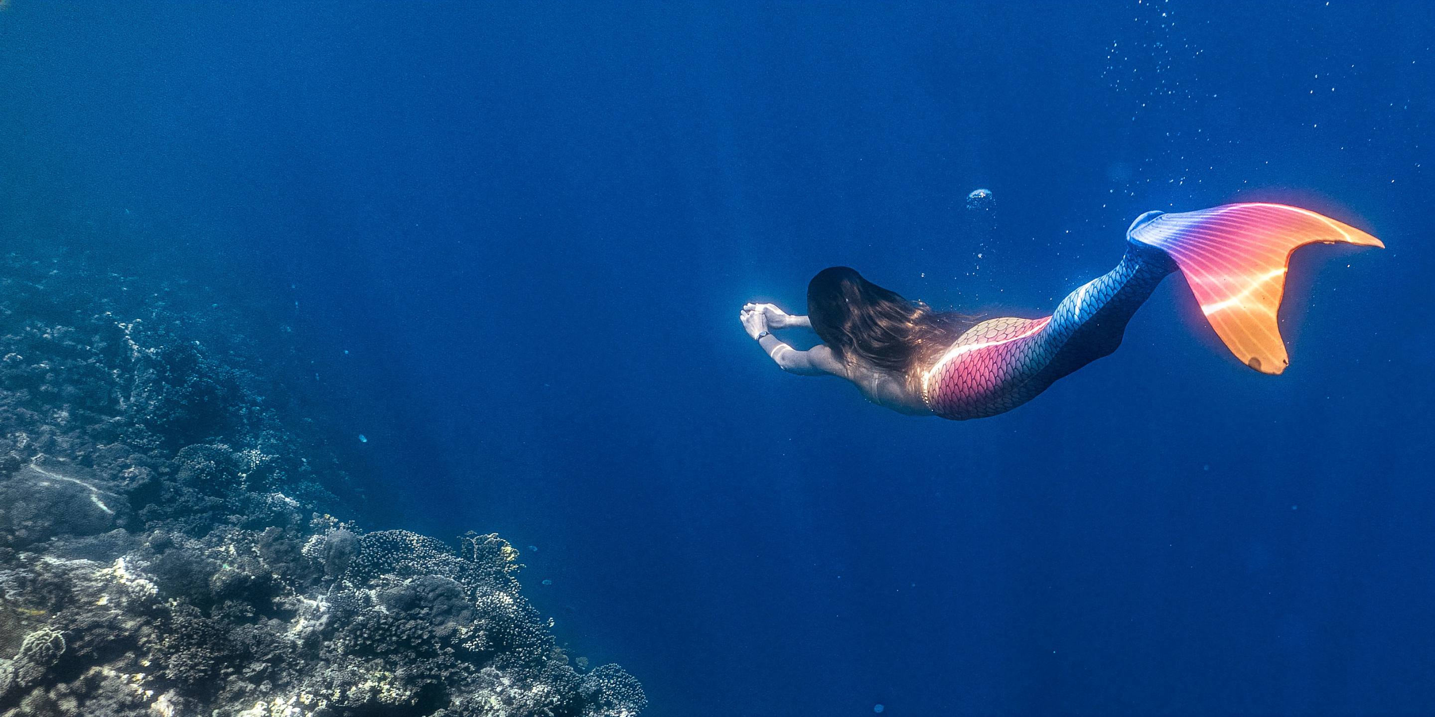 A mermaid with a blue, pink, and orange tail swims in the ocean.