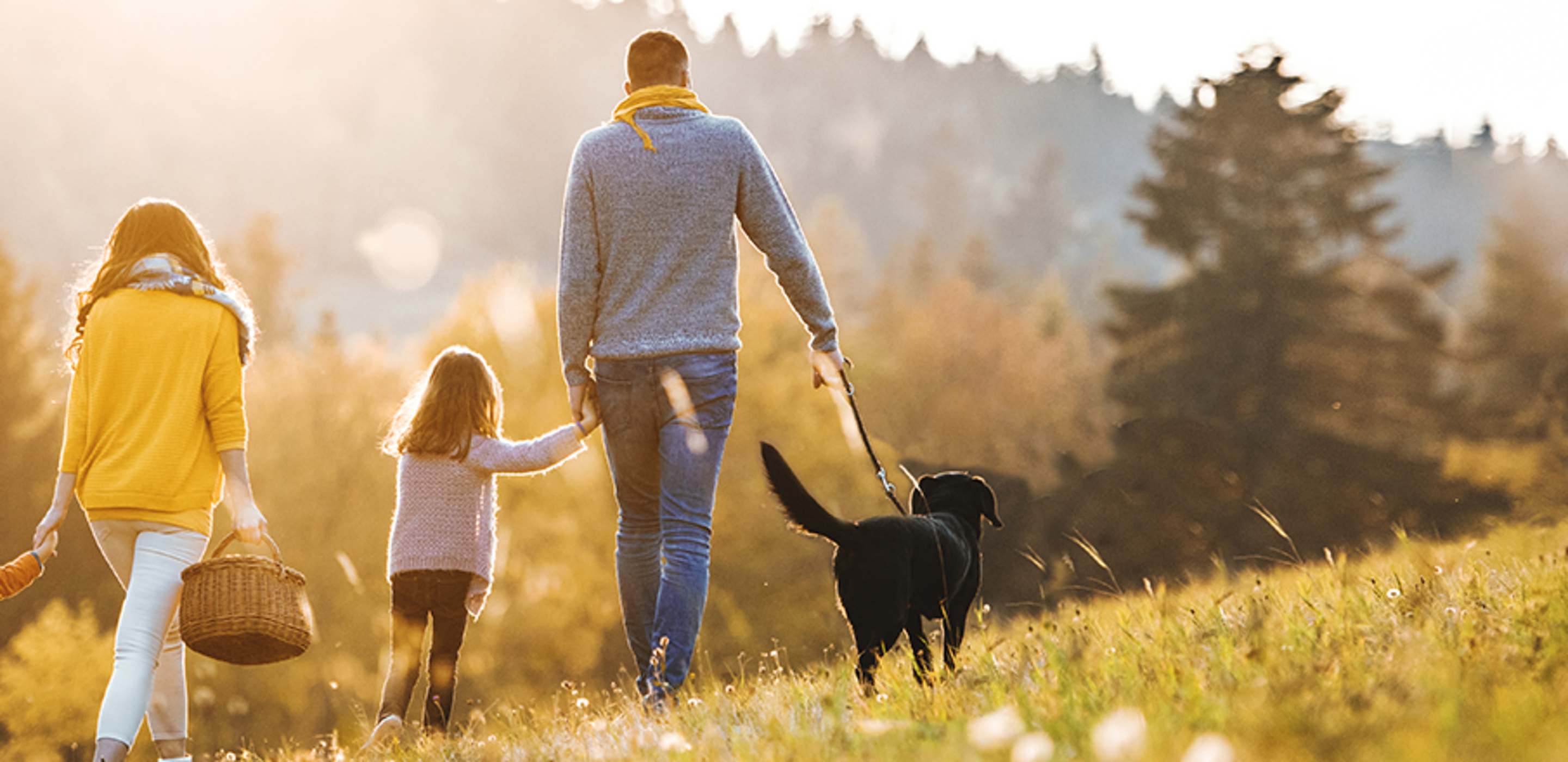A family with AAA term life insurance walking in a field.
