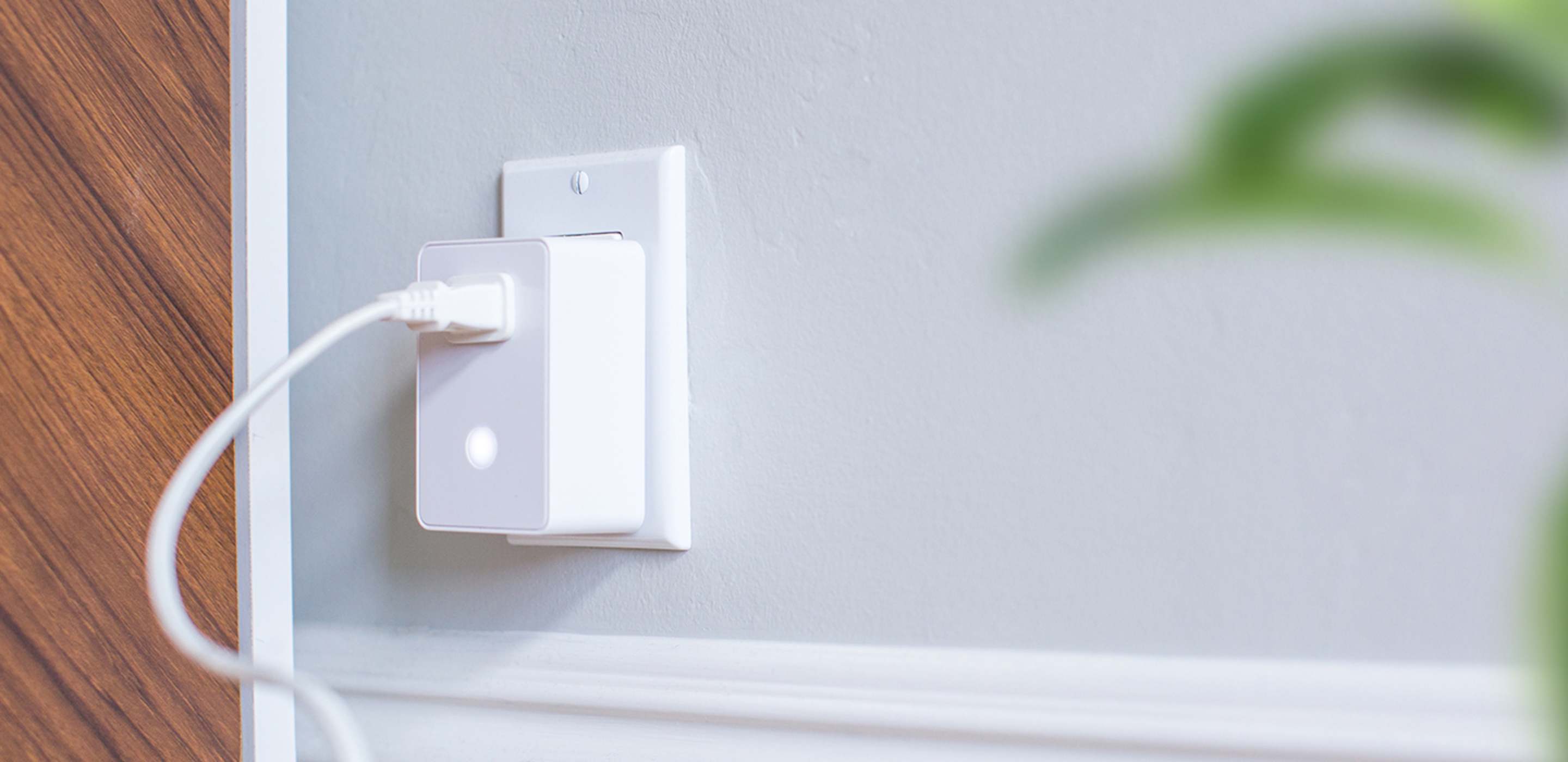 Dimmable Smart Plug