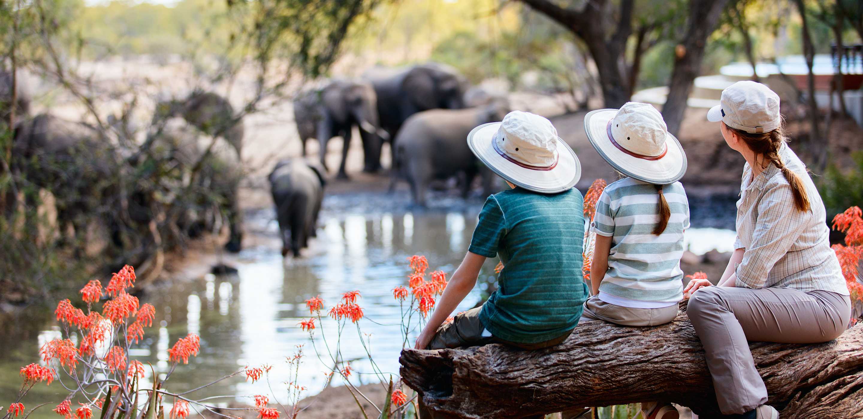 family on safari vacation