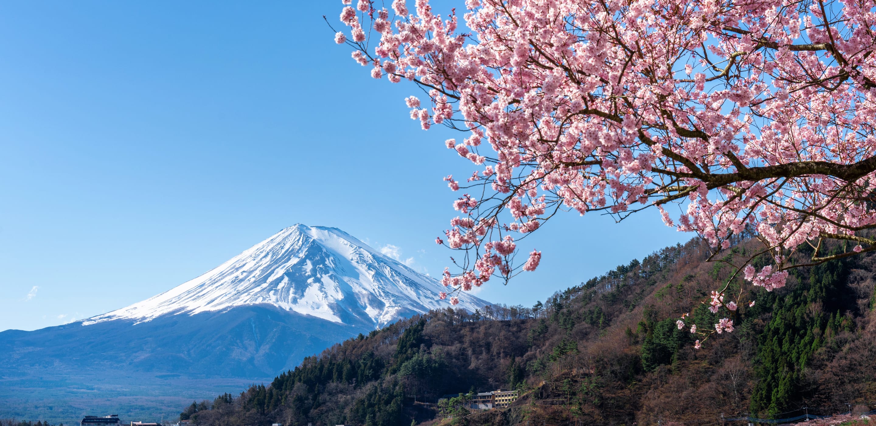 mountain range and northern lights