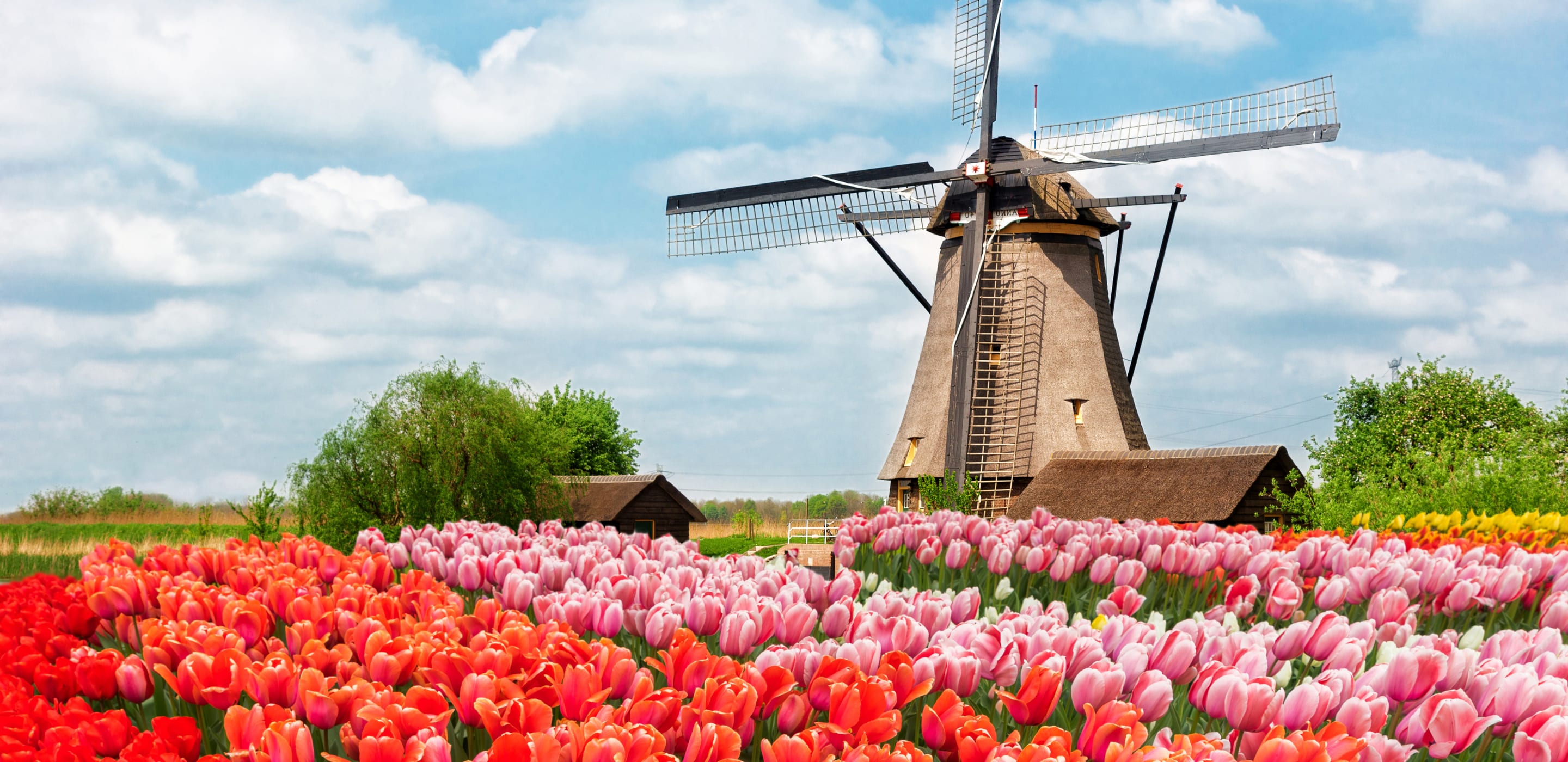 mountain range and northern lights