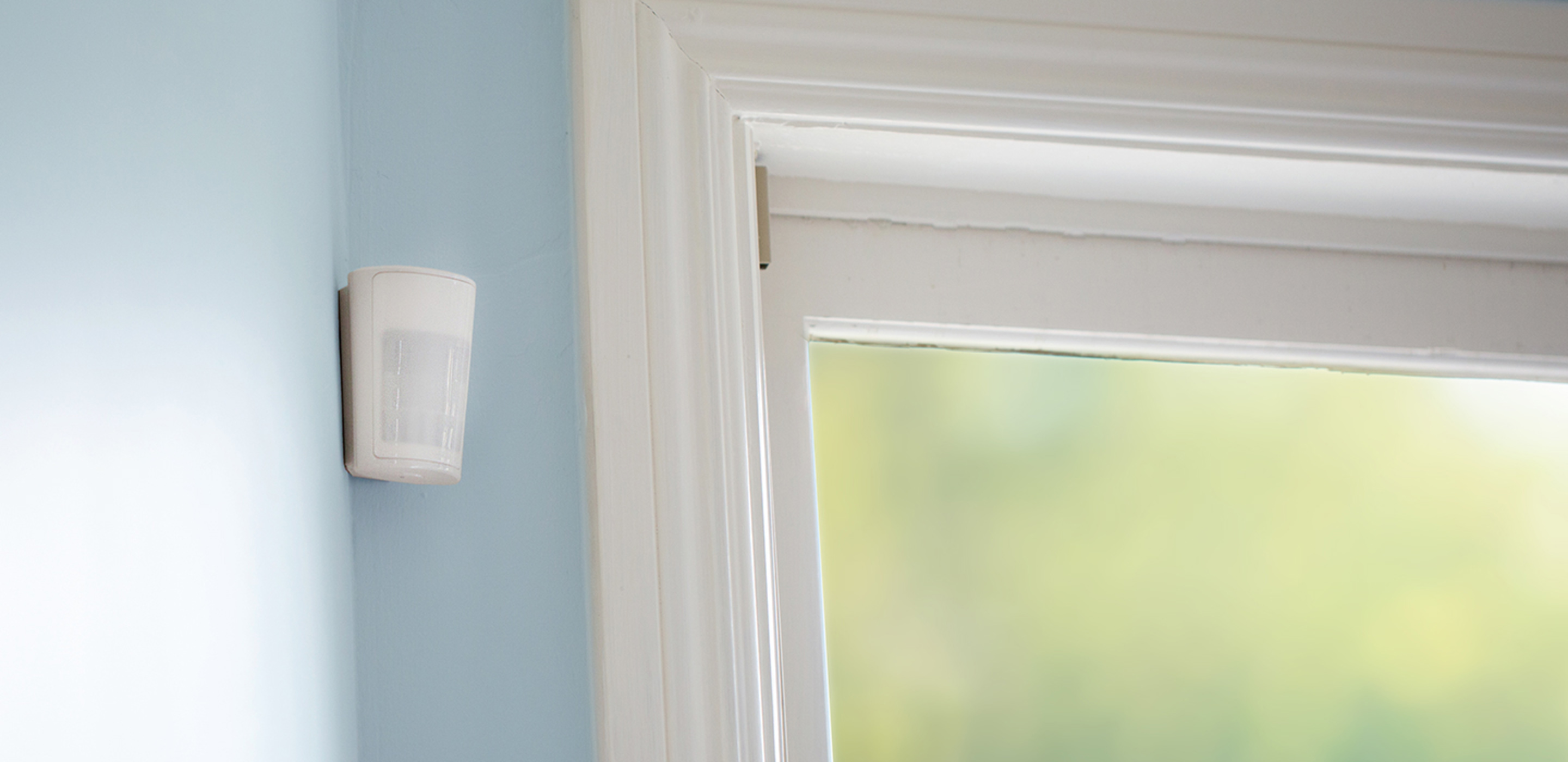 Motion Detector