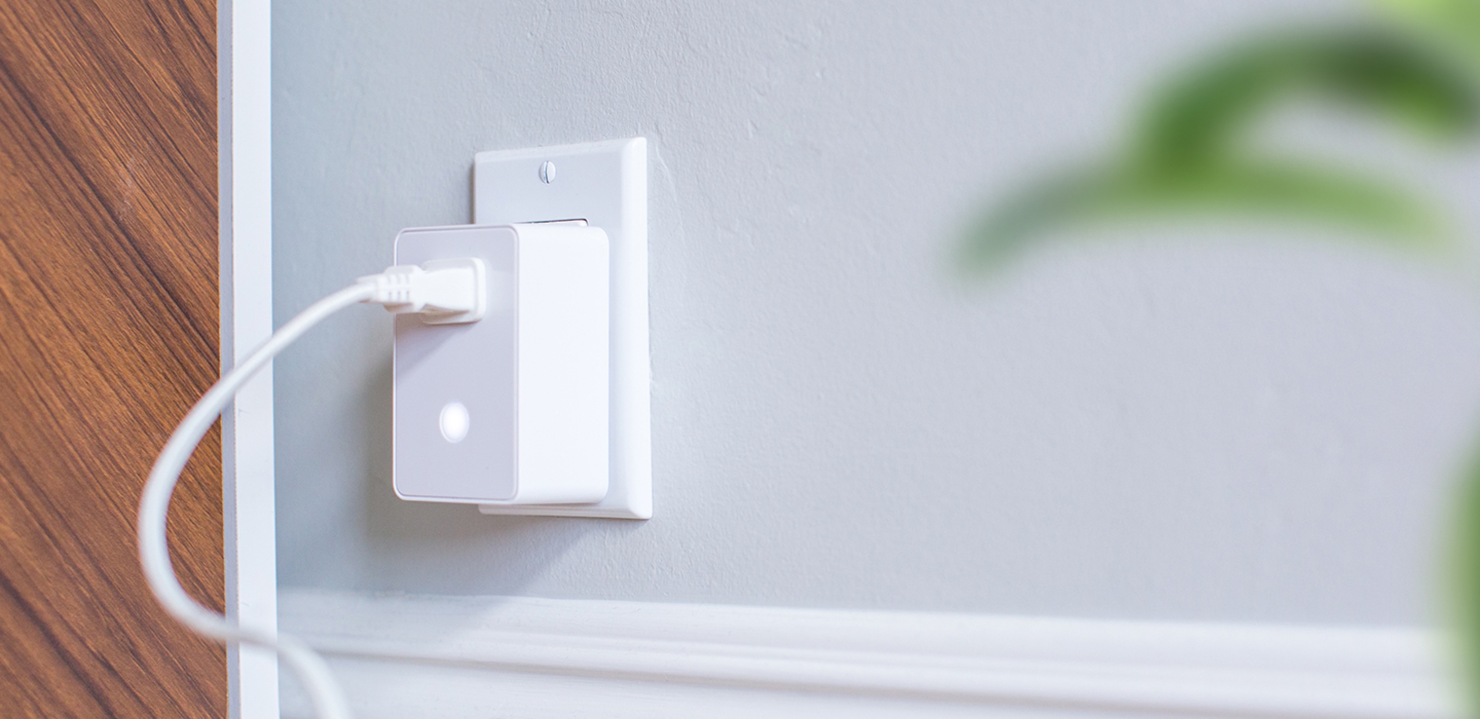 Dimmable Smart Plug