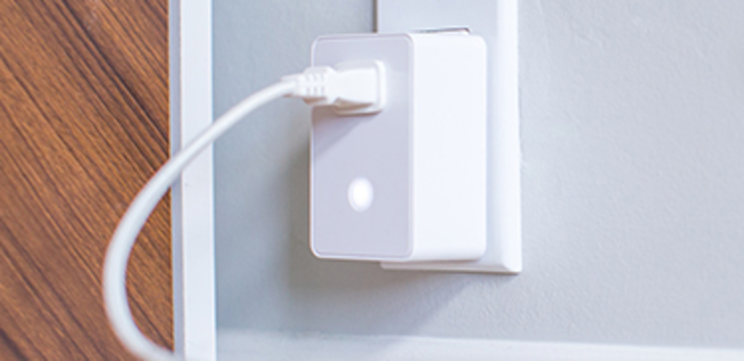 Dimmable Smart Plug