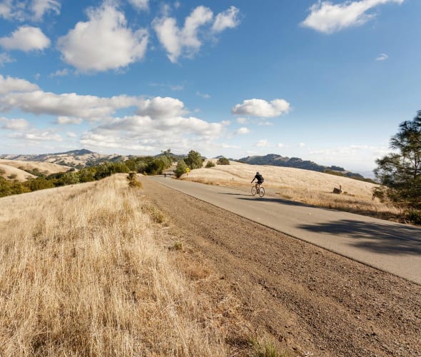 Cyclists on road towards Mount Diablo's summit in Contra Costa County, California