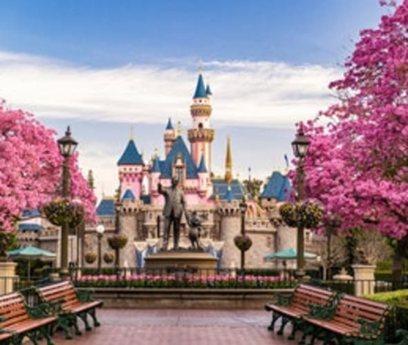 Disneyland® Resort California Vacation Packages & Tickets AAA Travel