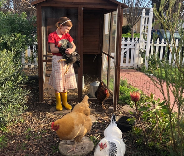 chicken coop in a AAA Member's backyard