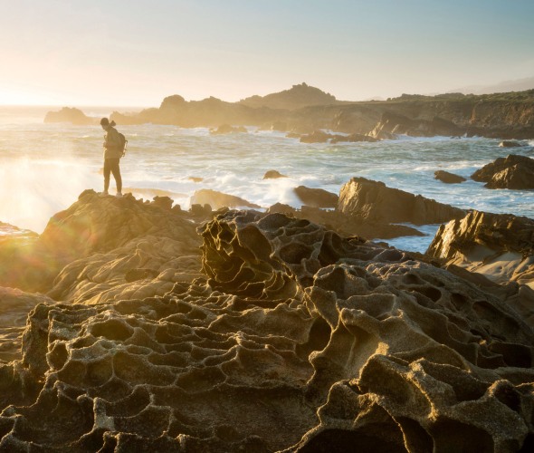 A visitor standing on the honeycombed rocks known as tafoni at Salt Point.