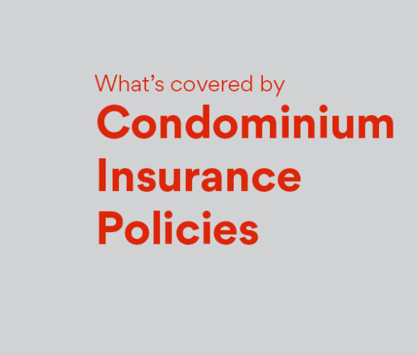what's covered by AAA Condo Insurance Policies